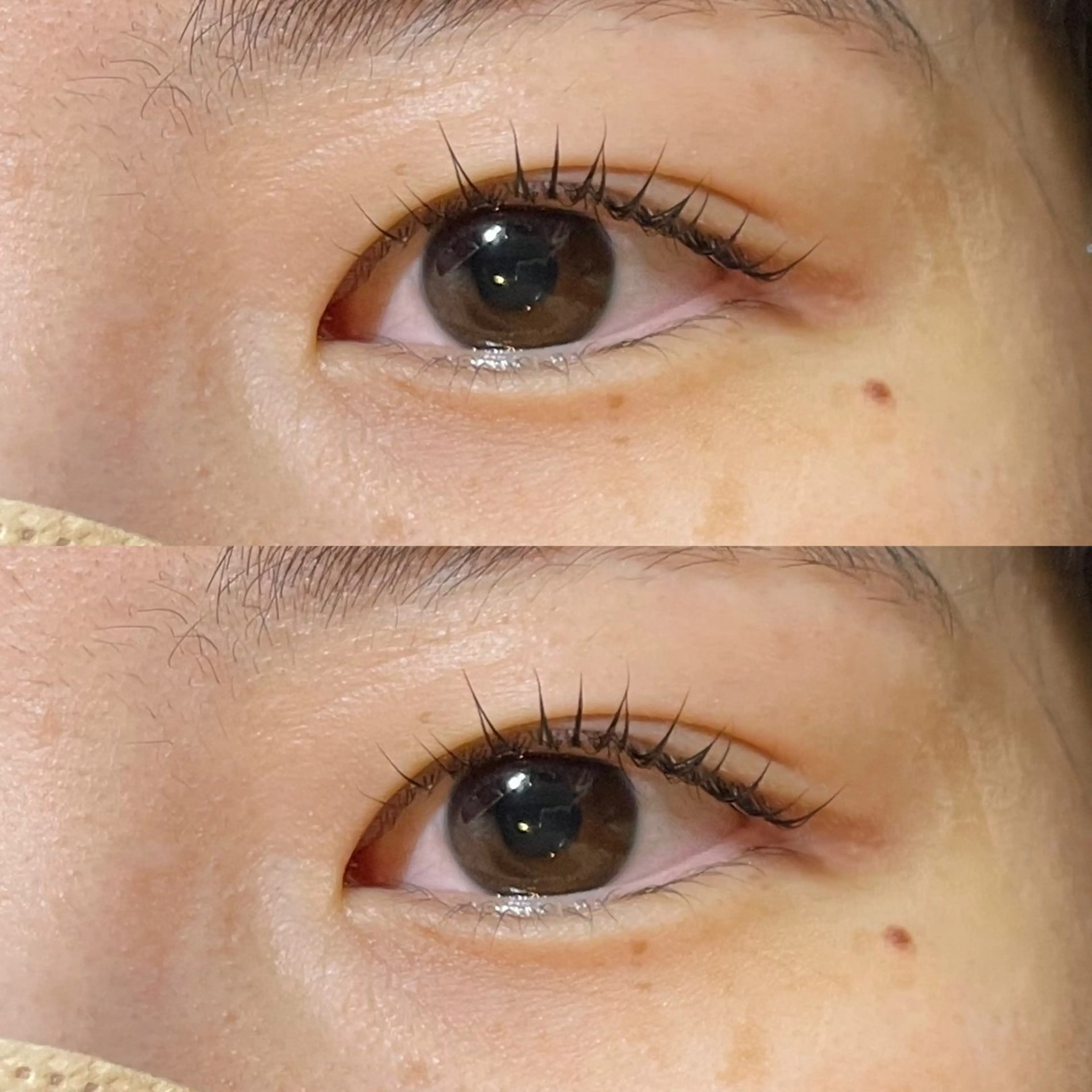 マツエク・マツパ パリジェンヌラッシュリフト scarlet asahiのマツエク・マツパデザイン