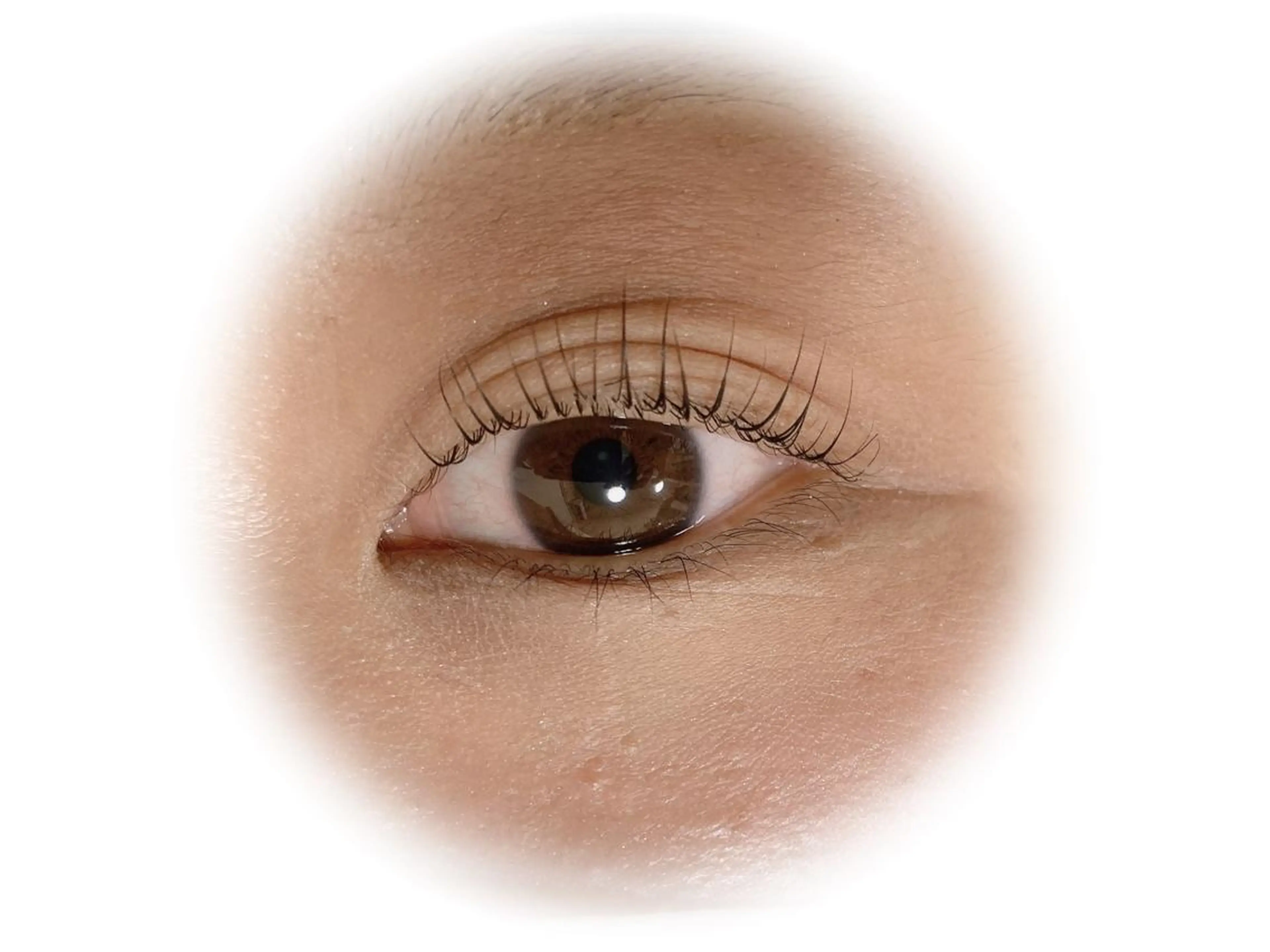 マツエク・マツパ Lapin【ラパン】所属・Lapin ラパンのマツエク・マツパデザイン