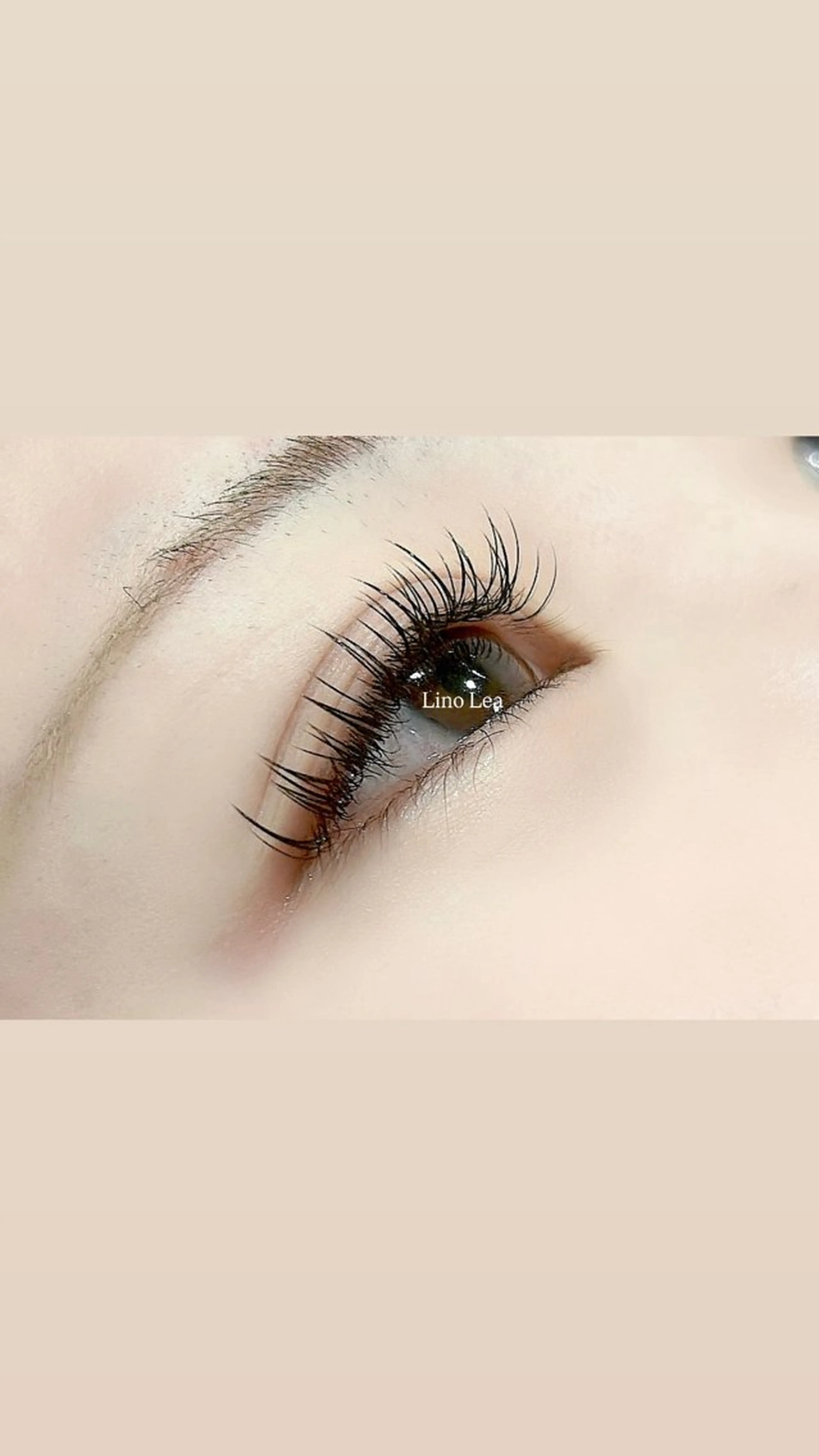 マツエク・マツパ ワンホンマツエク マツエク Lino  Lea NATSUMIのマツエク・マツパデザイン