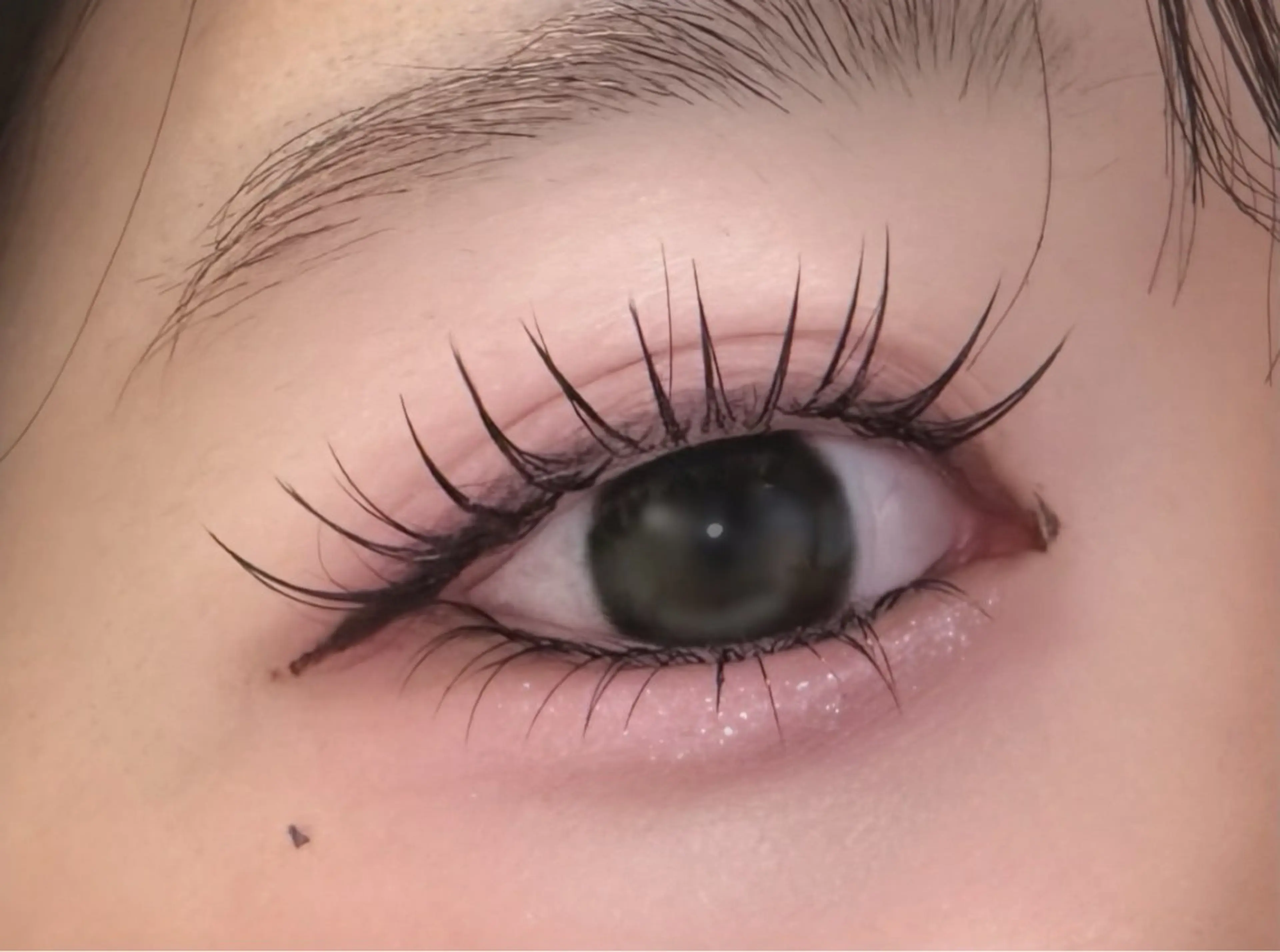 マツエク・マツパ セーブル DL・BEAUTY 🩶 RISEのマツエク・マツパデザイン