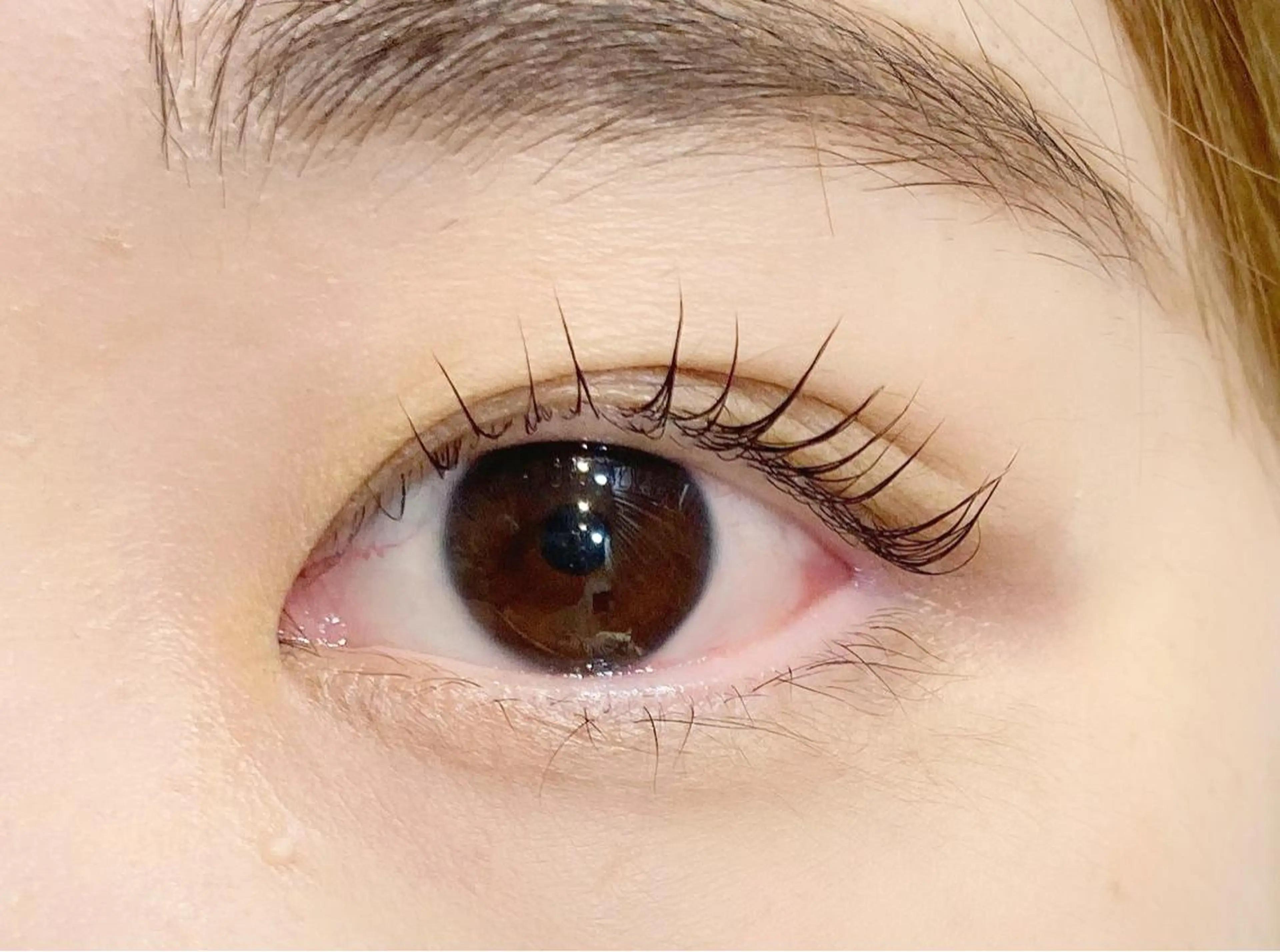 ショート ネイル マツエク・マツパ アイブロウ パリジェンヌラッシュリフト 𓊆ᶠᵉᵉʸ𓊇 ᶜᴴᴵᴴᴬᴿᵁのマツエク・マツパデザイン