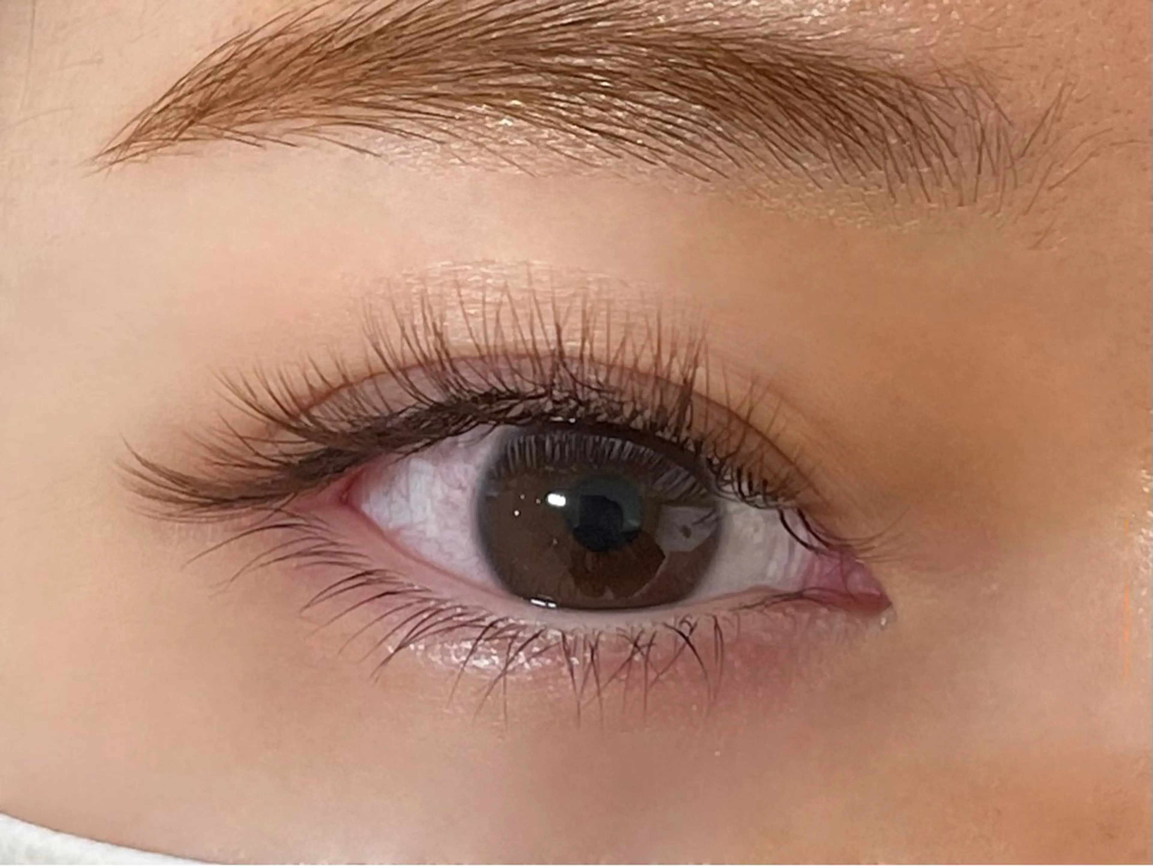 マツエク・マツパ カラーマツエク ボリュームラッシュ 山脇🐋🤍 アンジェリカ錦糸町のマツエク・マツパデザイン