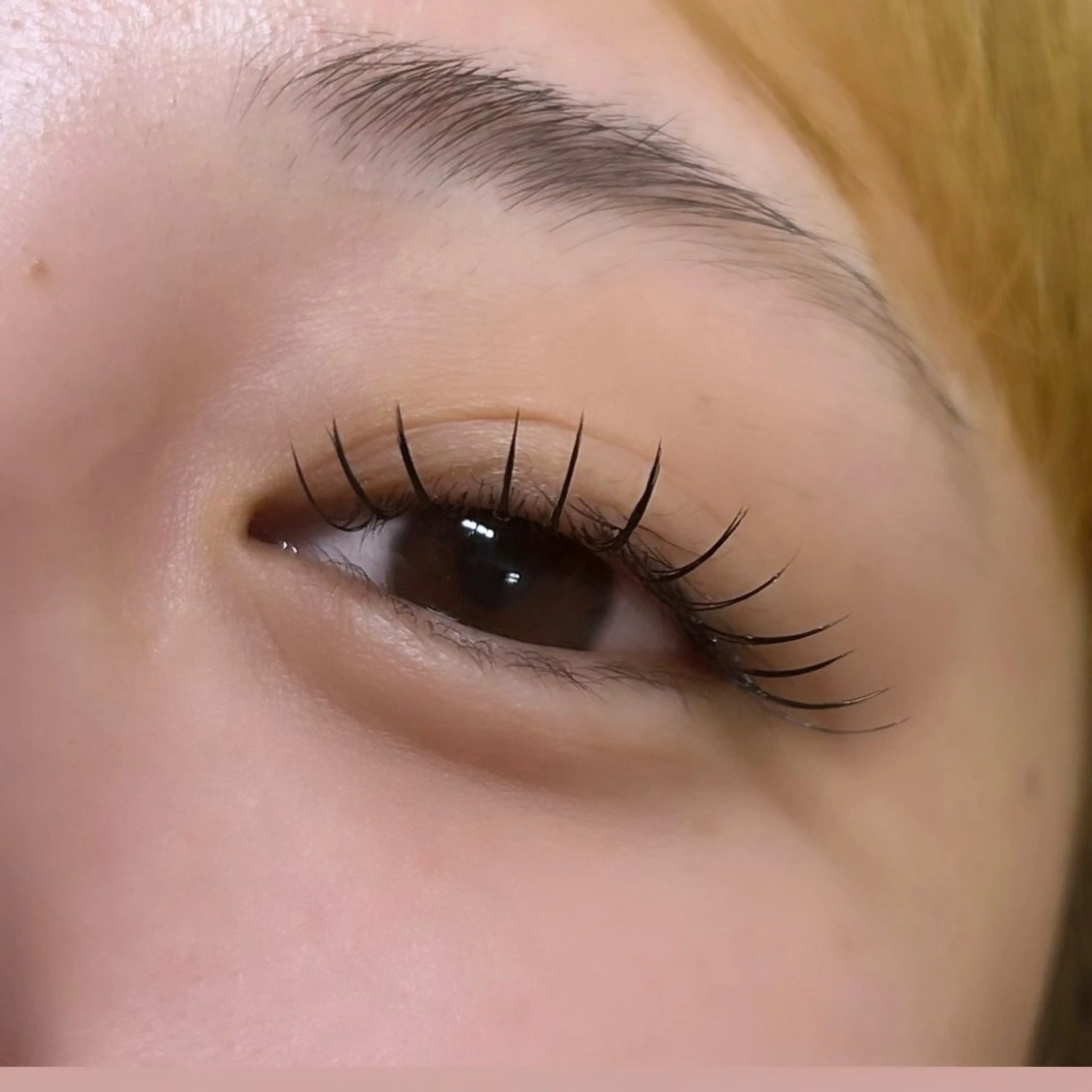 マツエク・マツパ 束感まつ毛 フラットラッシュ ナチュラル MAQUIA東加古川 桐原のマツエク・マツパデザイン