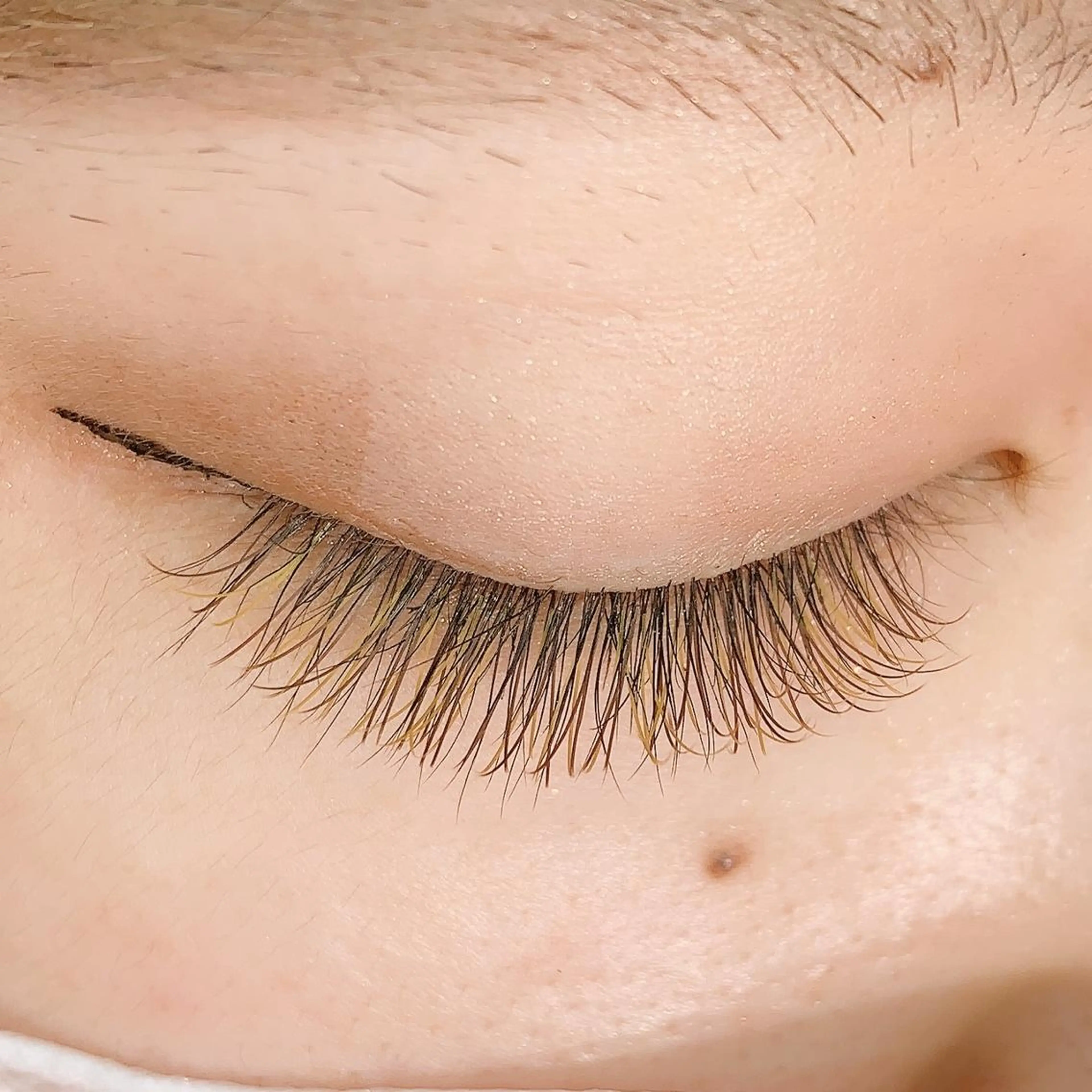 マツエク・マツパ カラーマツエク 🦖稲葉菜月🦖 異動しましたのヘアスタイル