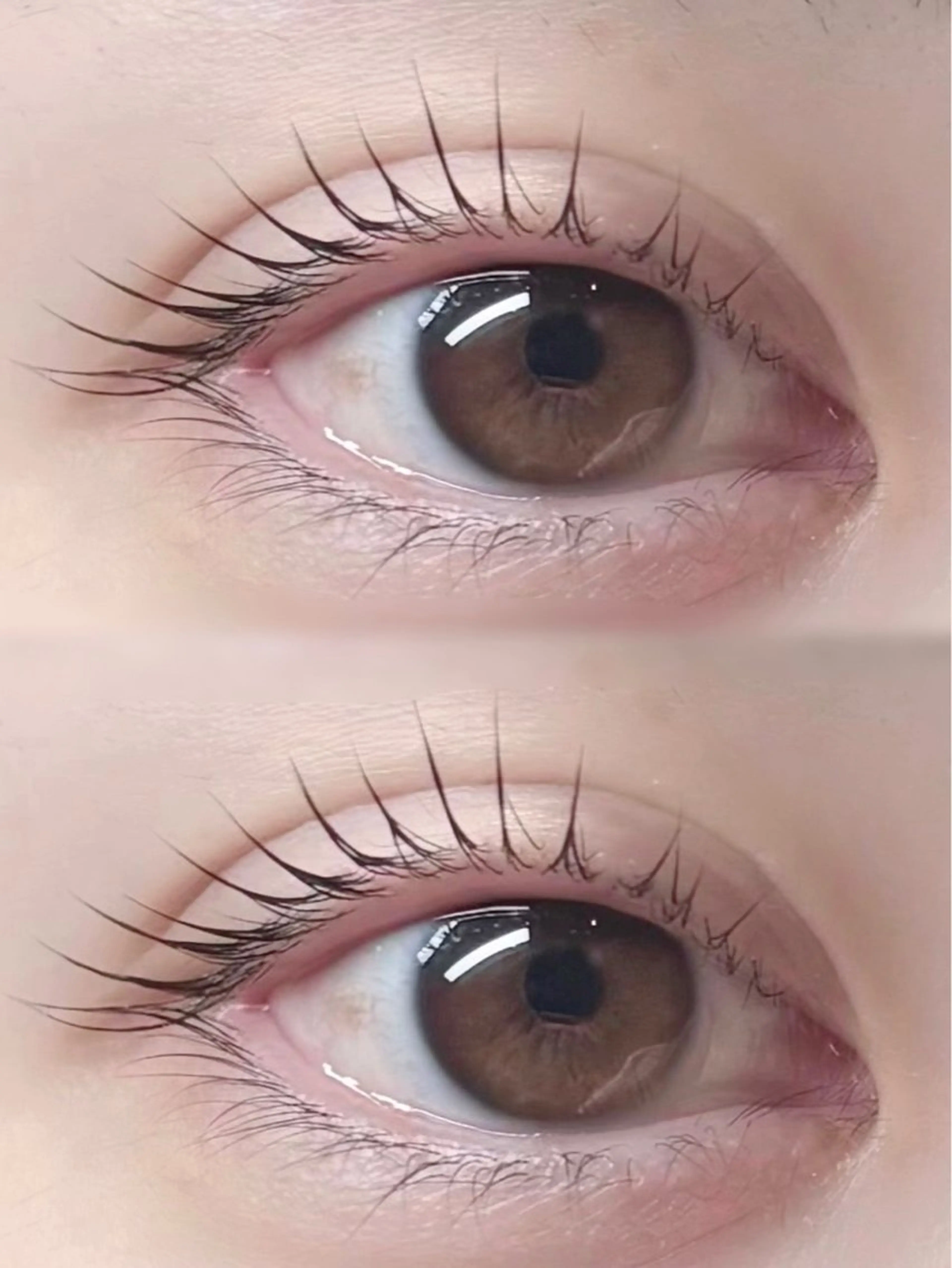 平日 似合わせラッシュリフト 🌸の写真