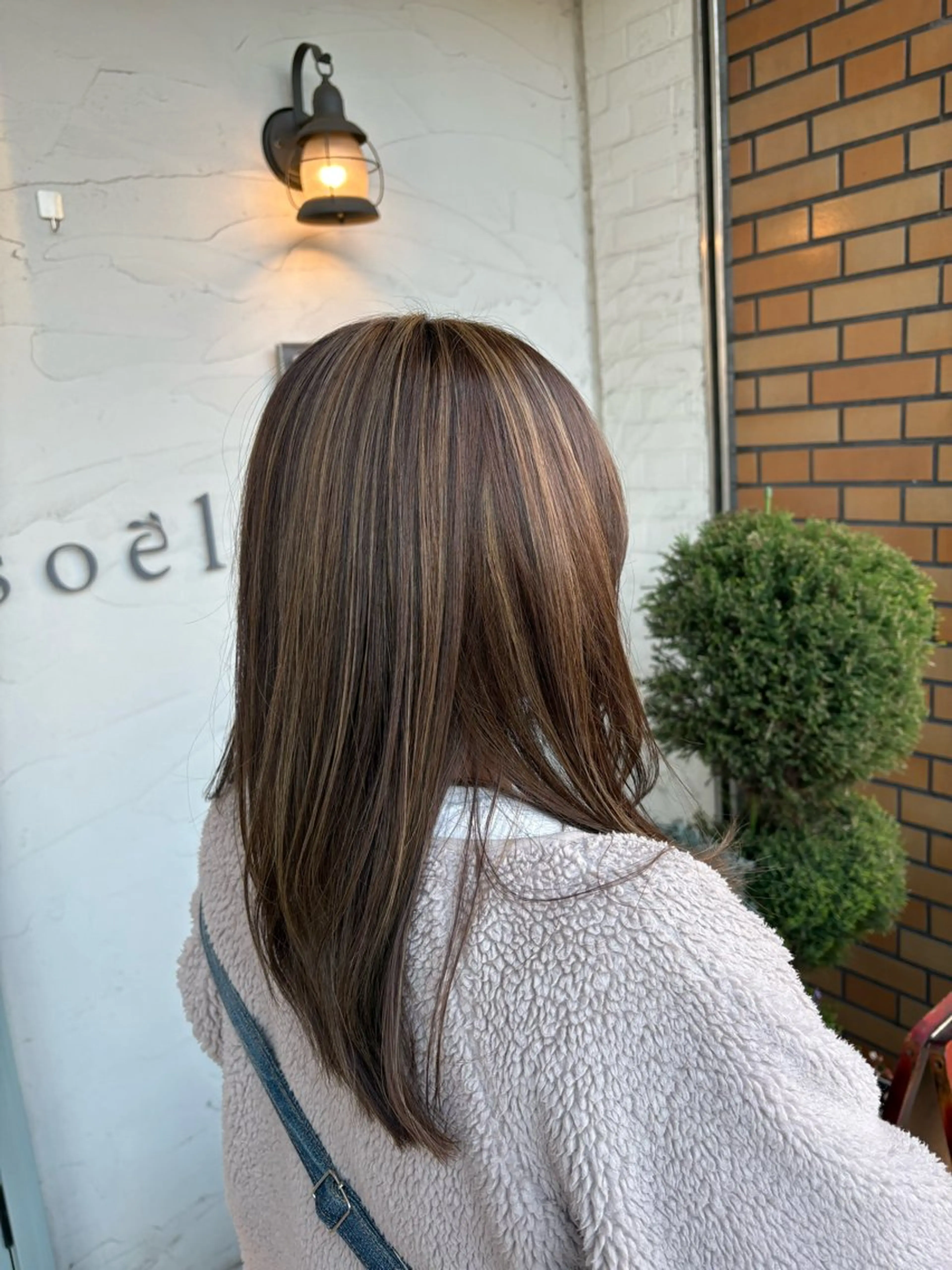 🌸フルカラー➕白髪ぼかしハイライトフル🌸全体のハイライトの写真