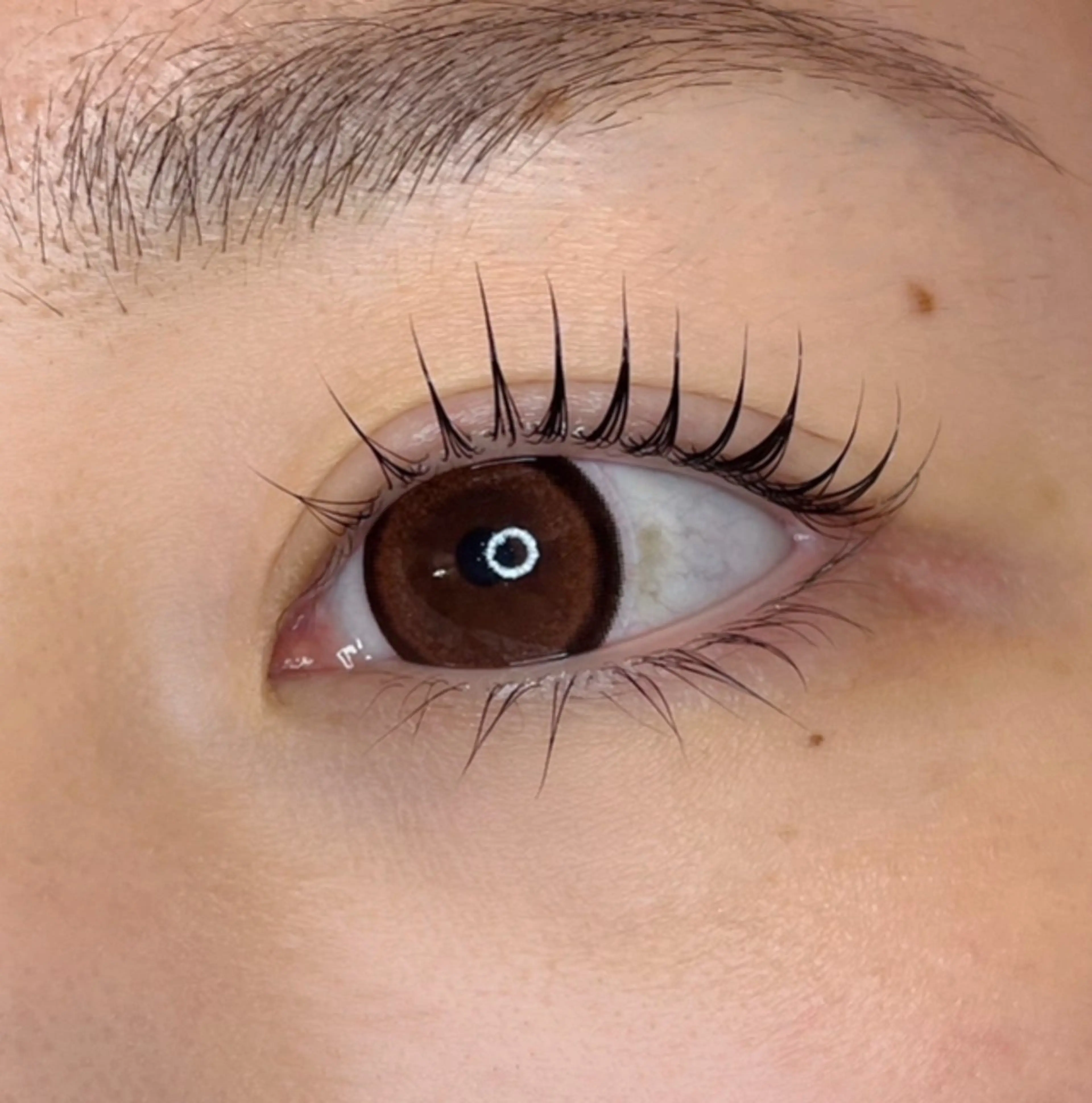 マツエク・マツパ マツパ neuk.【ヌーク】 ayaのマツエク・マツパデザイン