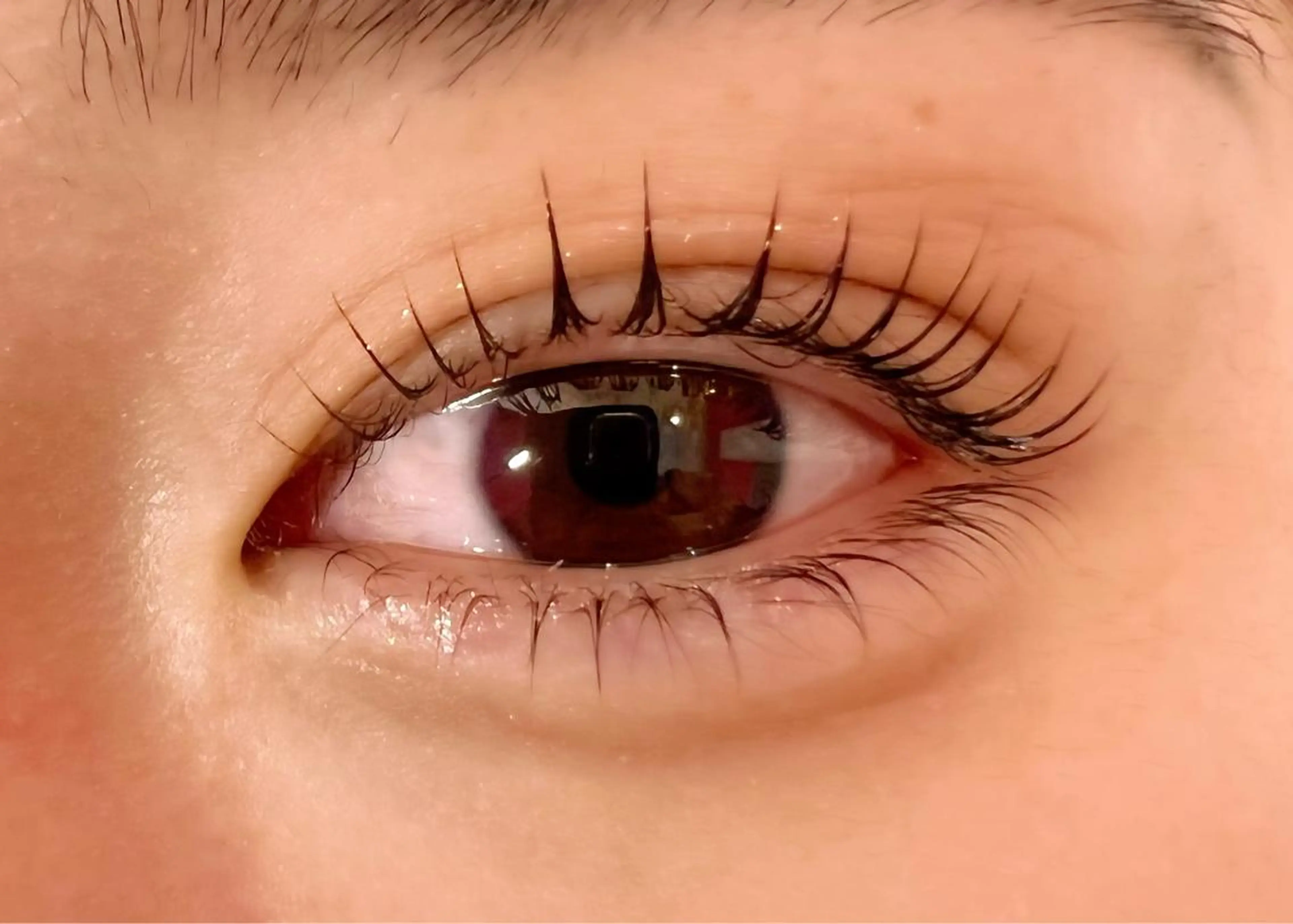 マツエク・マツパ パリジェンヌラッシュリフト Celeste Venus所属・🧸Celeste Venusのマツエク・マツパデザイン