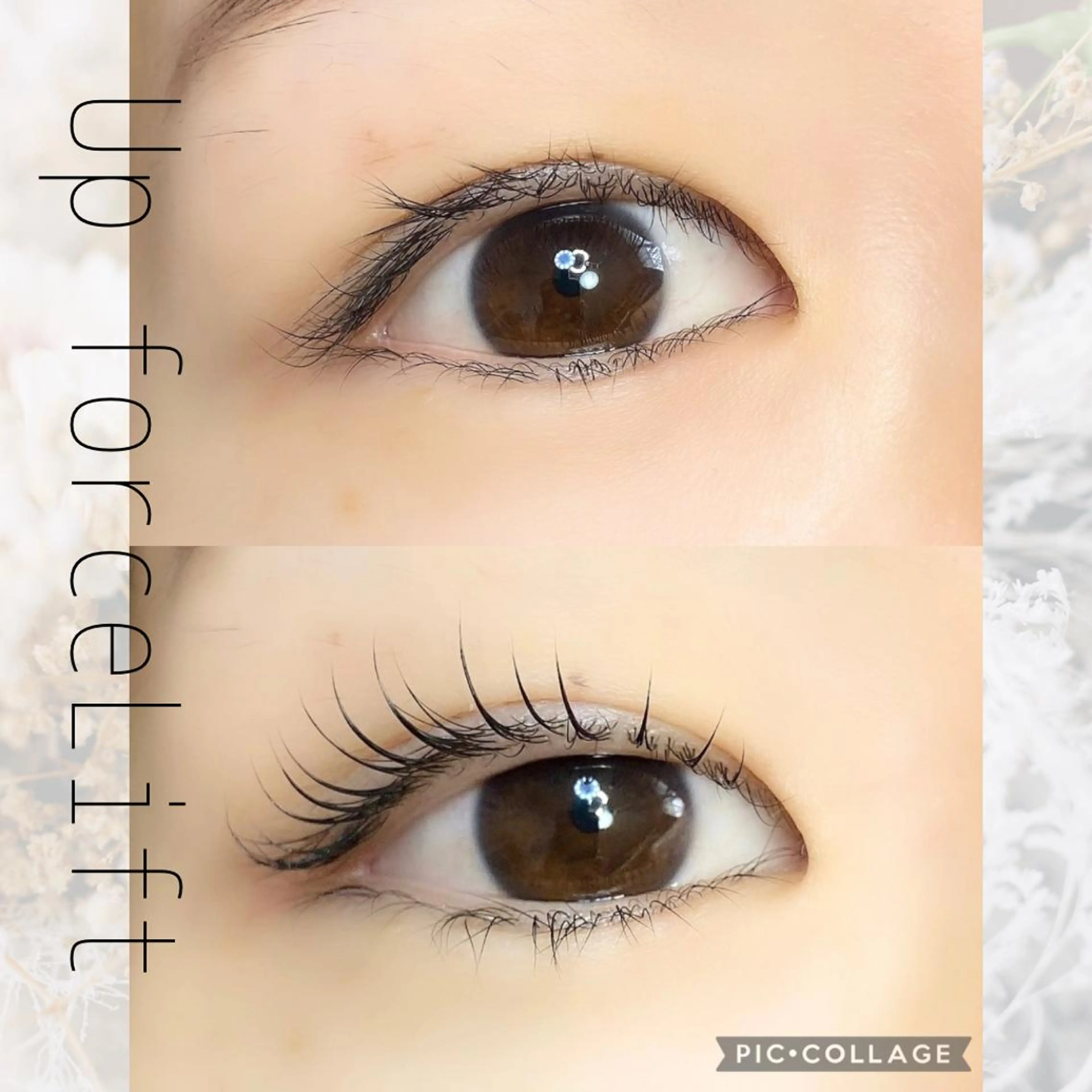 マツエク・マツパ 内藤 由貴のマツエク・マツパデザイン