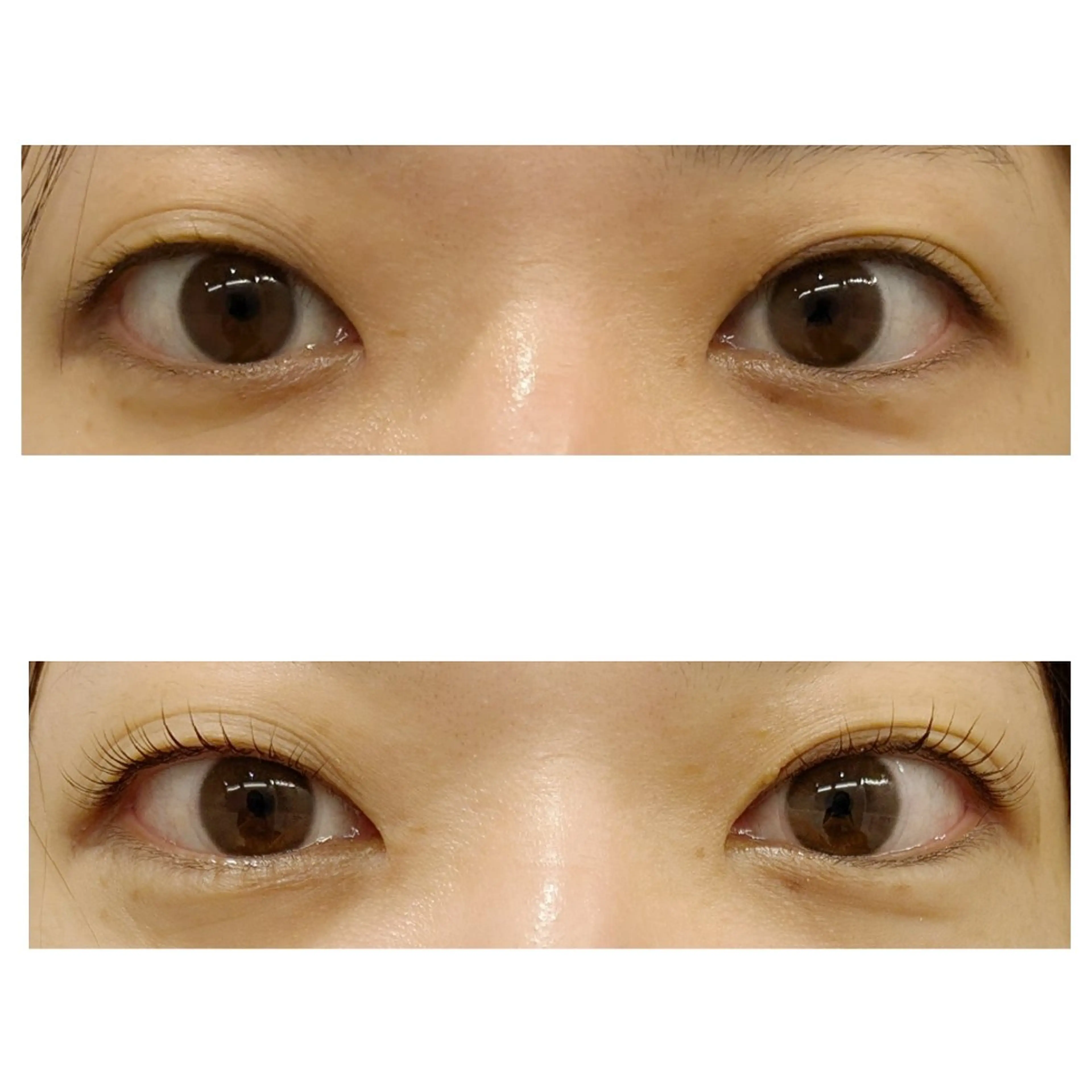 マツエク・マツパ 一重×まつ毛パーマ akane .のその他イメージ