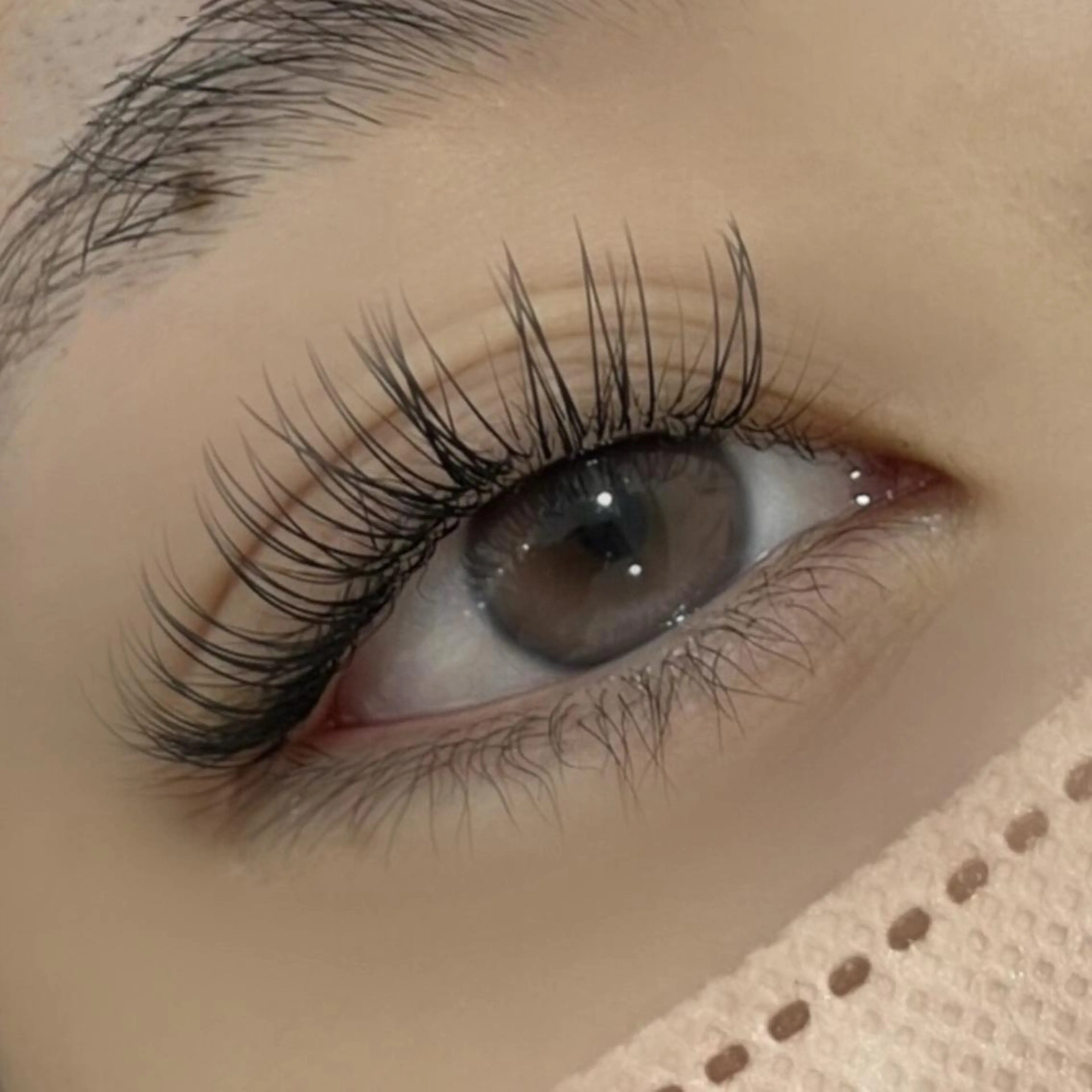 マツエク・マツパ Dカール フラットラッシュ パリジェンヌラッシュリフト Amor Funa🐿️のマツエク・マツパデザイン