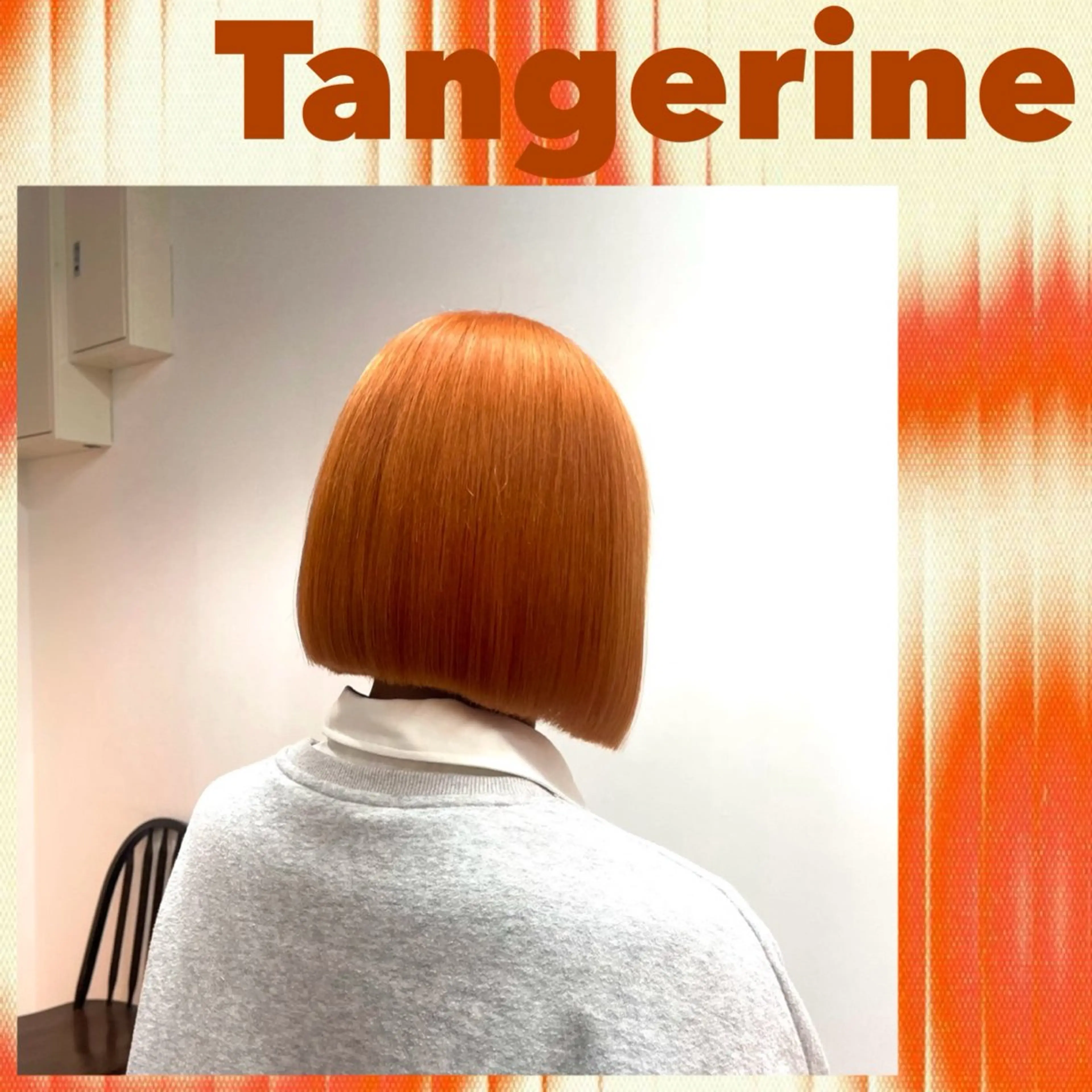 ショート カラー ヘアカラー 🌿似合わせブリーチ 小俣　来🌿のヘアスタイル