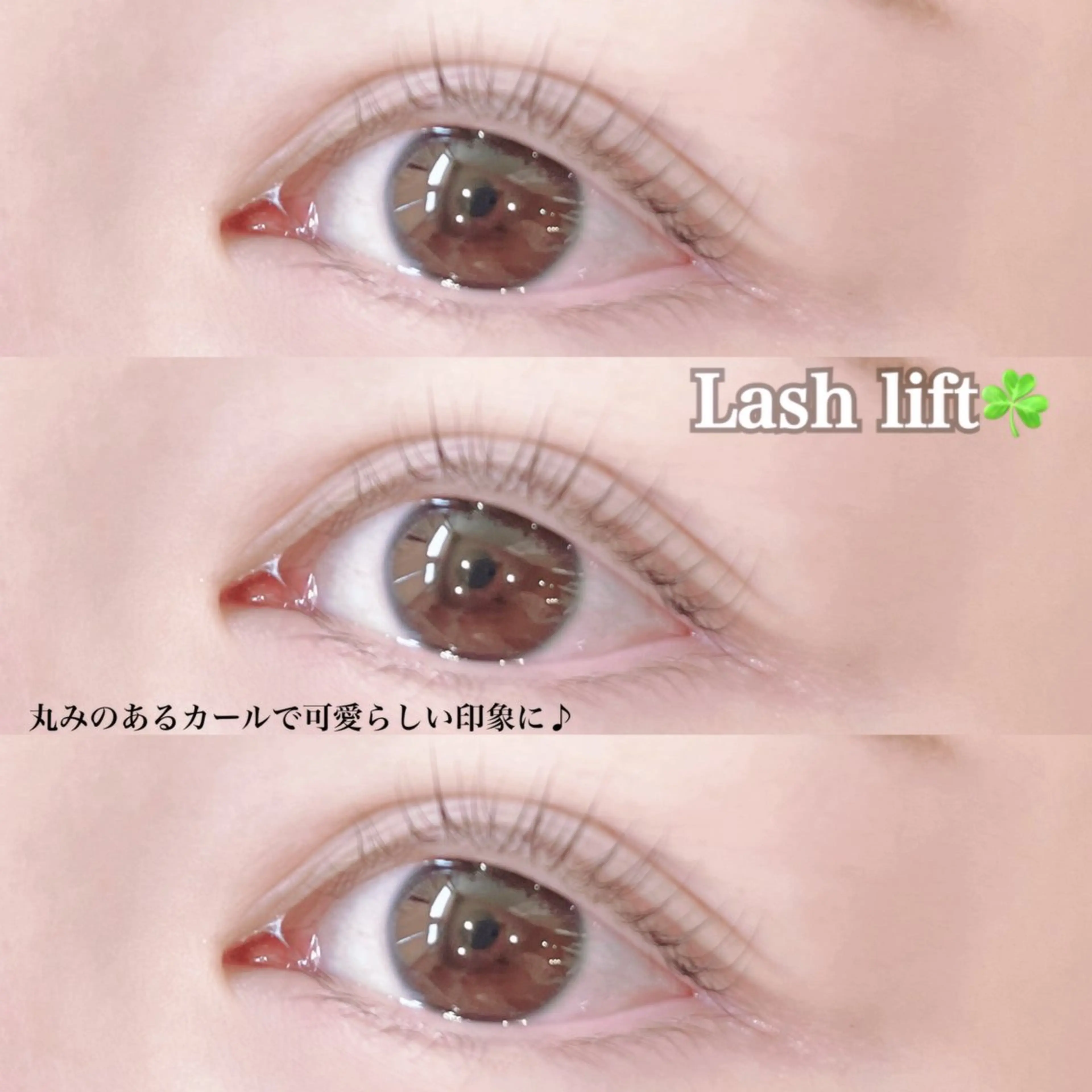 マツエク・マツパ フラットラッシュ 韓国風マツエク パリジェンヌラッシュリフト 下まつげエクステ 一重×まつ毛パーマ マツパ Rairia momoka🎀✨のマツエク・マツパデザイン