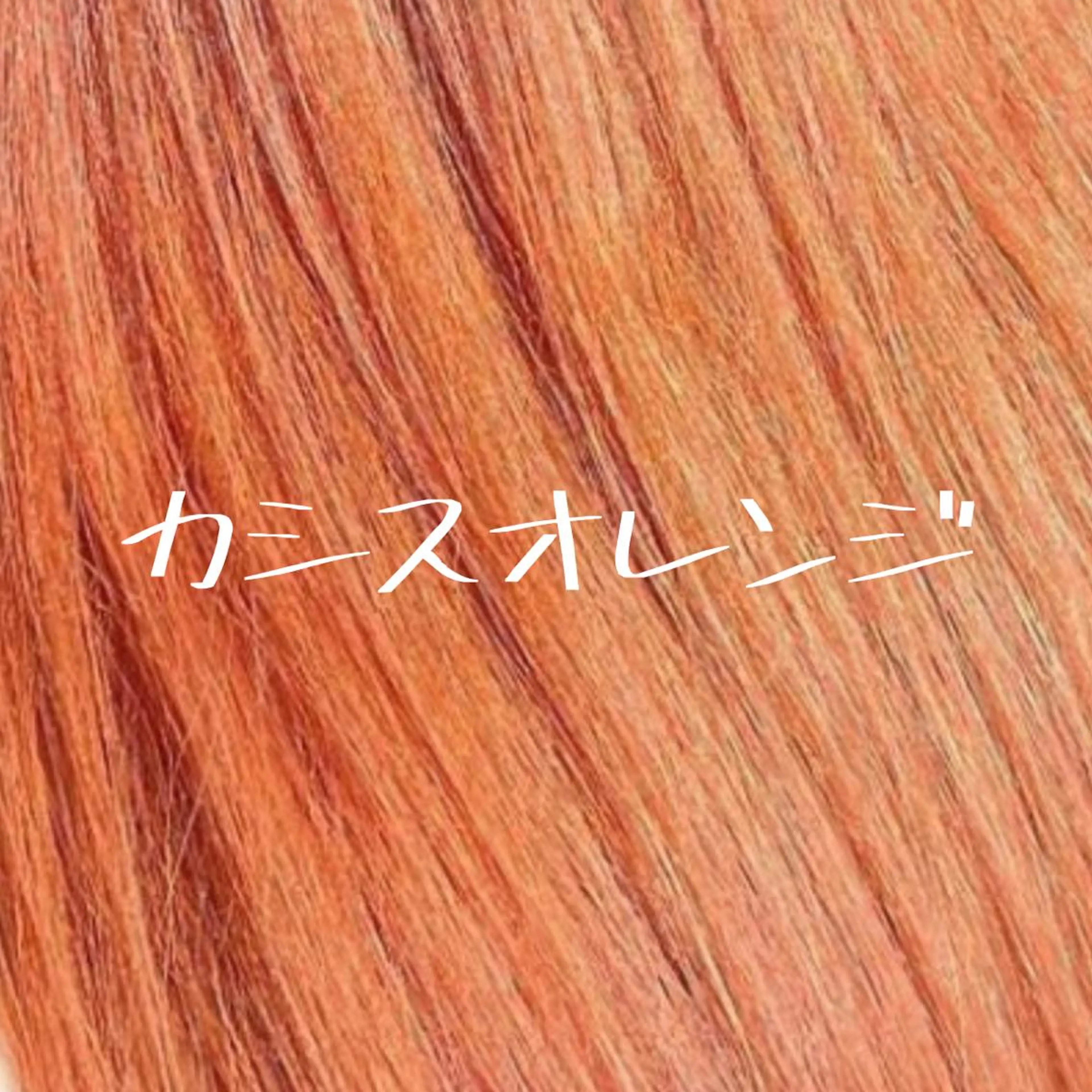 セミロング カラー バレイヤージュ ベージュカラー ブリーチ ケアブリーチ カシス 小嶋 秀明/ 本物の髪質改善⭐️のヘアスタイル