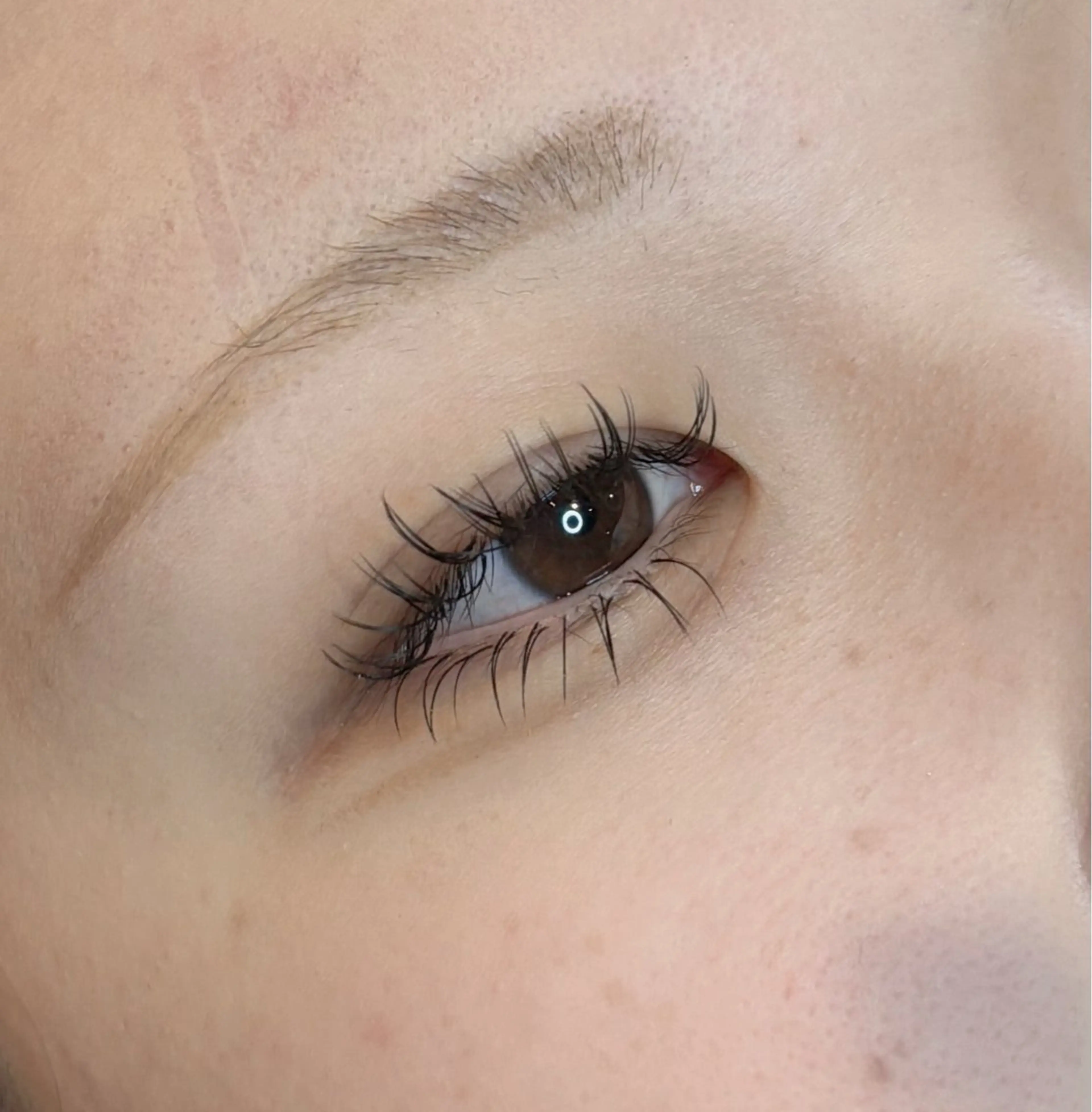 LED下マツエク30本モデル募集中✨✨の写真