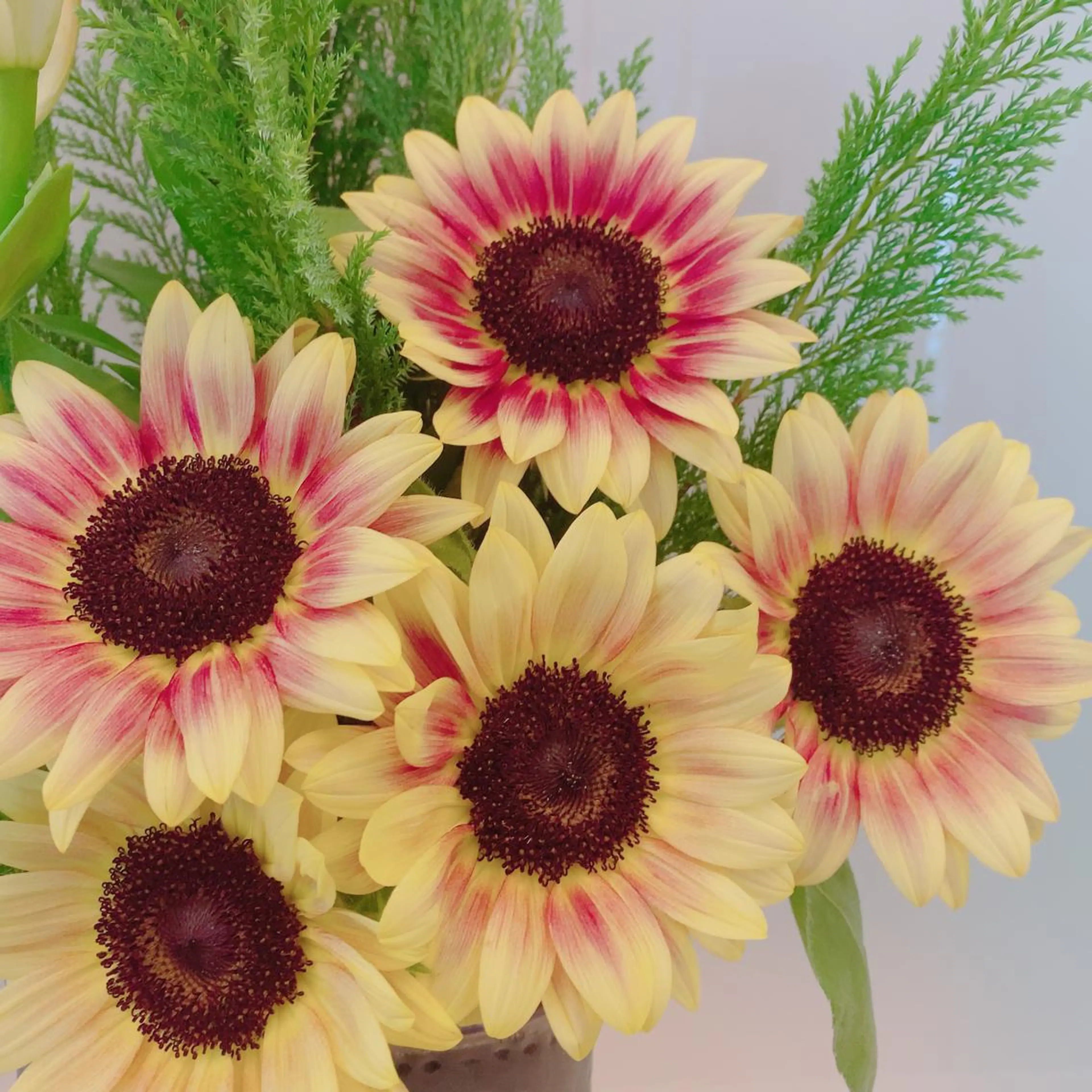 パーマ マツエク・マツパ アイブロウ 神山 ビューティー・アイのマツエク・マツパデザイン