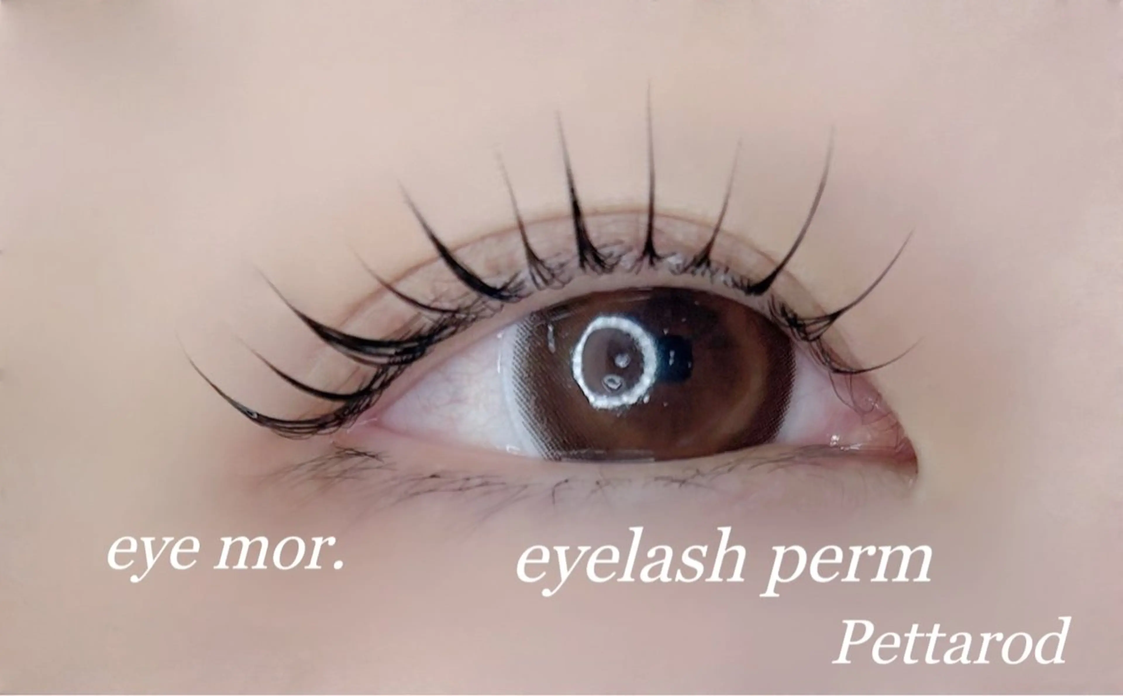 マツエク・マツパ 束感まつ毛 韓国風マツエク 一重×まつ毛パーマ eye mor. 村田のマツエク・マツパデザイン