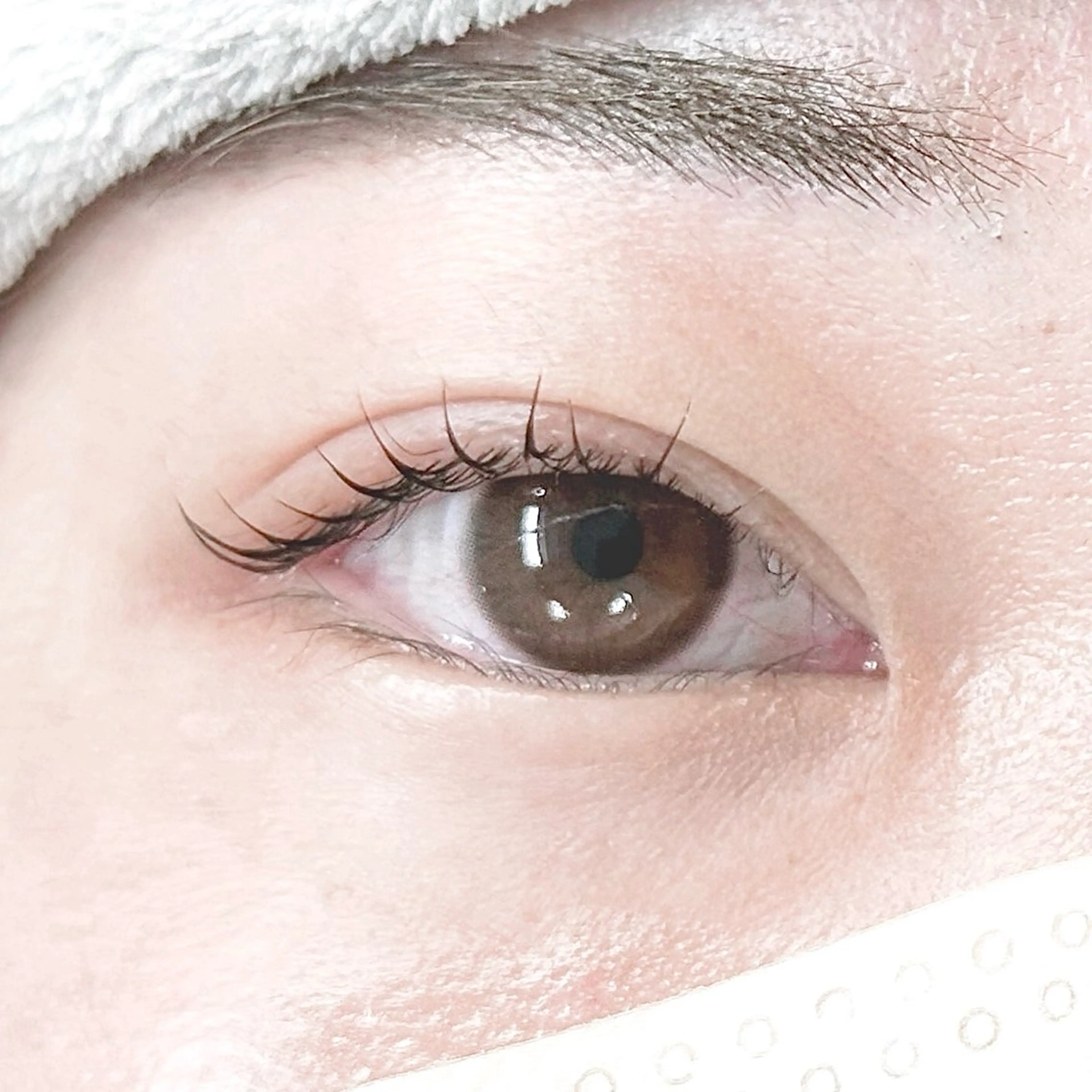 マツエク・マツパ パリジェンヌラッシュリフト Levia砺波店所属・Levia  砺波店 /noriのマツエク・マツパデザイン