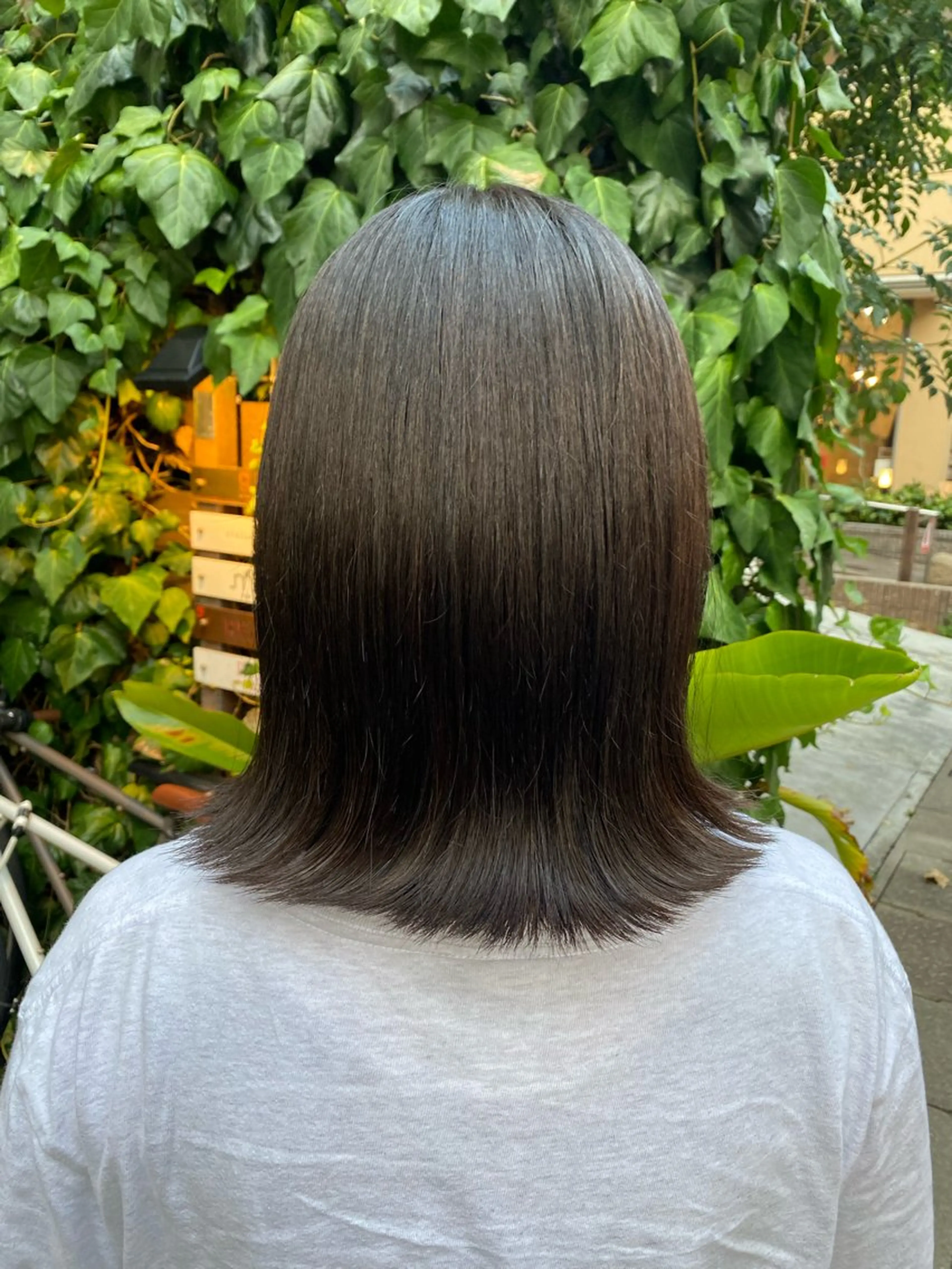 ミディアム カラー 🩶 AIRA / 透明感カラー 🩶のヘアスタイル