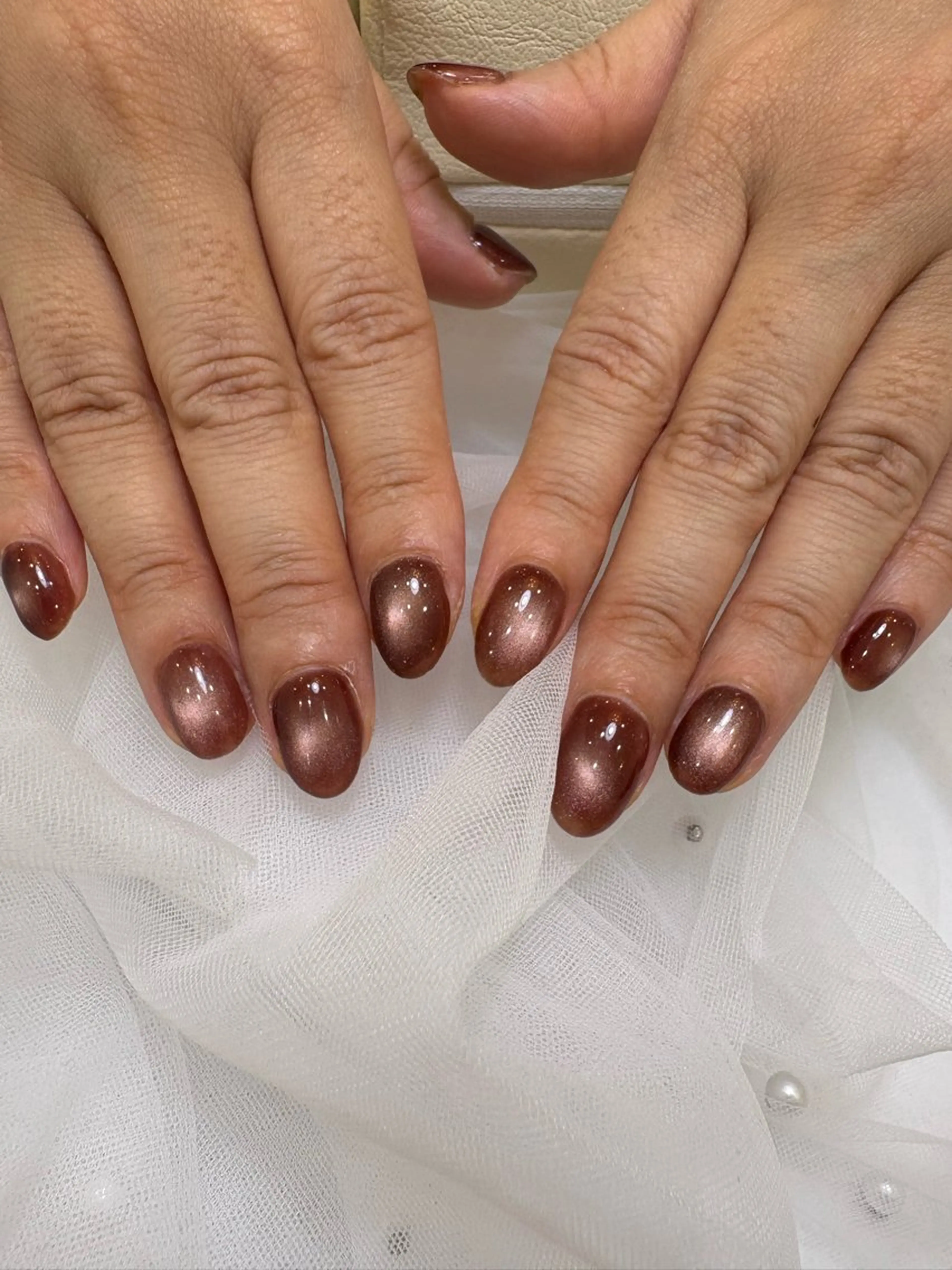 🧲シルキーマグネット✨の写真