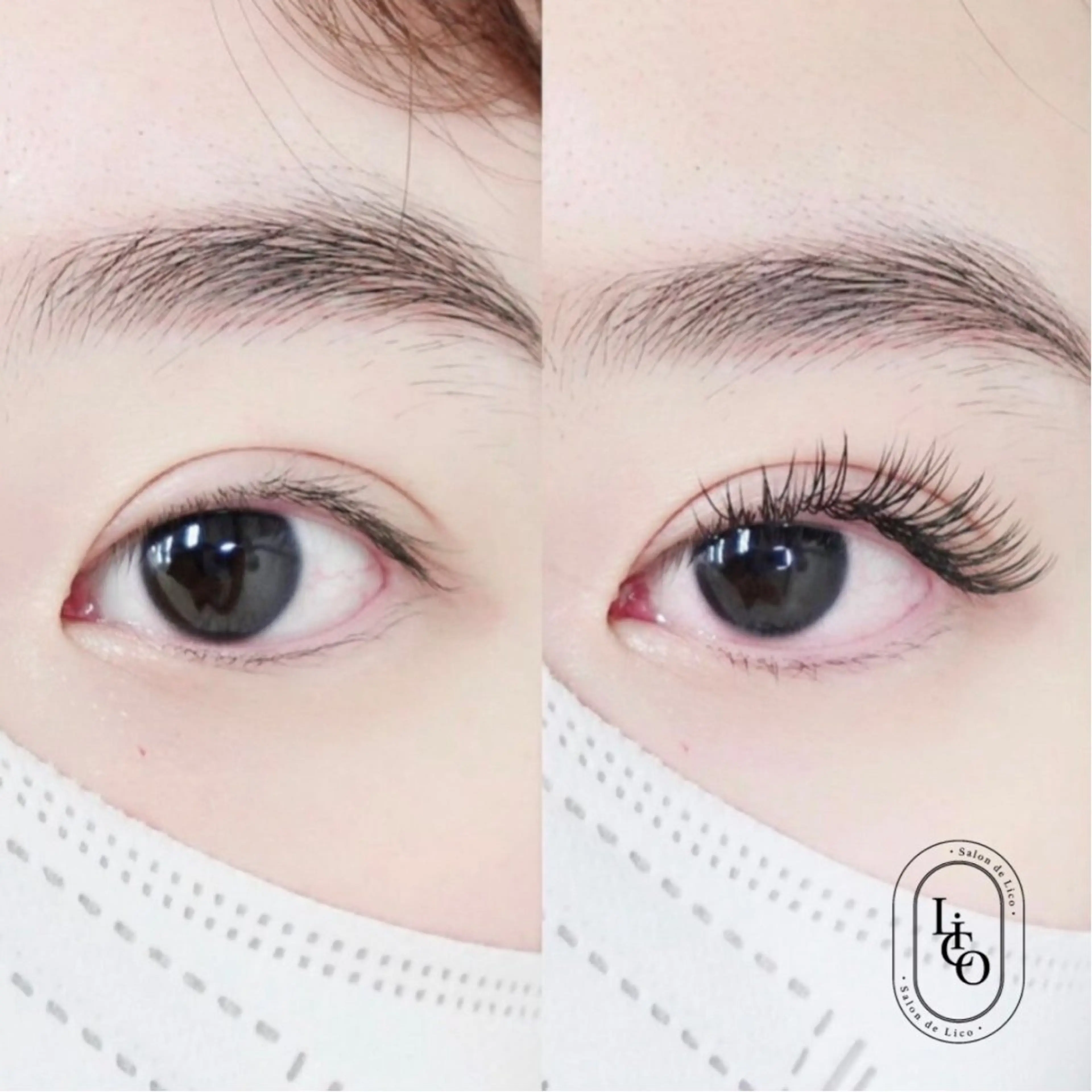 フラットラッシュ140本の写真