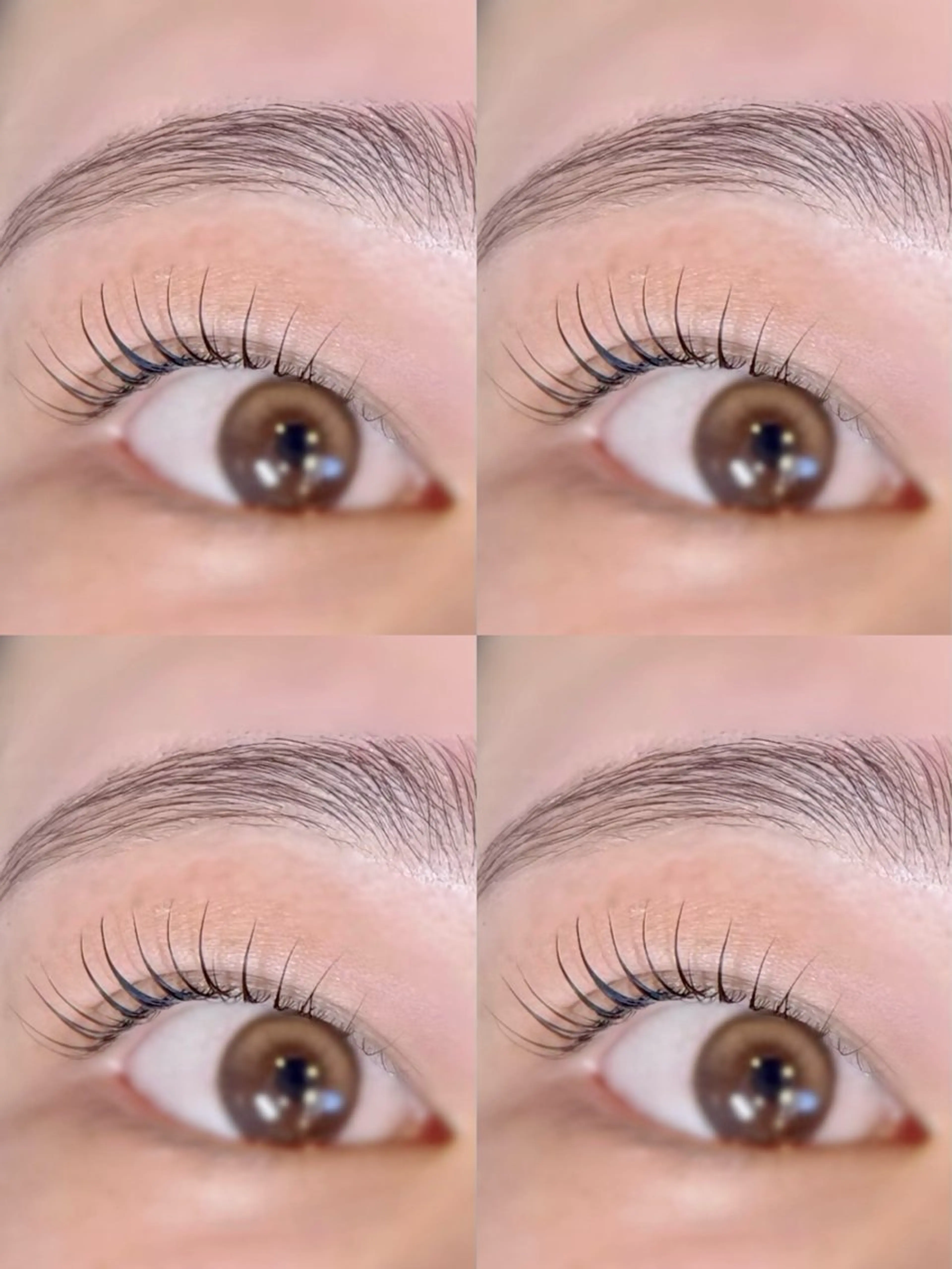 マツエク・マツパ crevia所属・Crevia Chieのマツエク・マツパデザイン