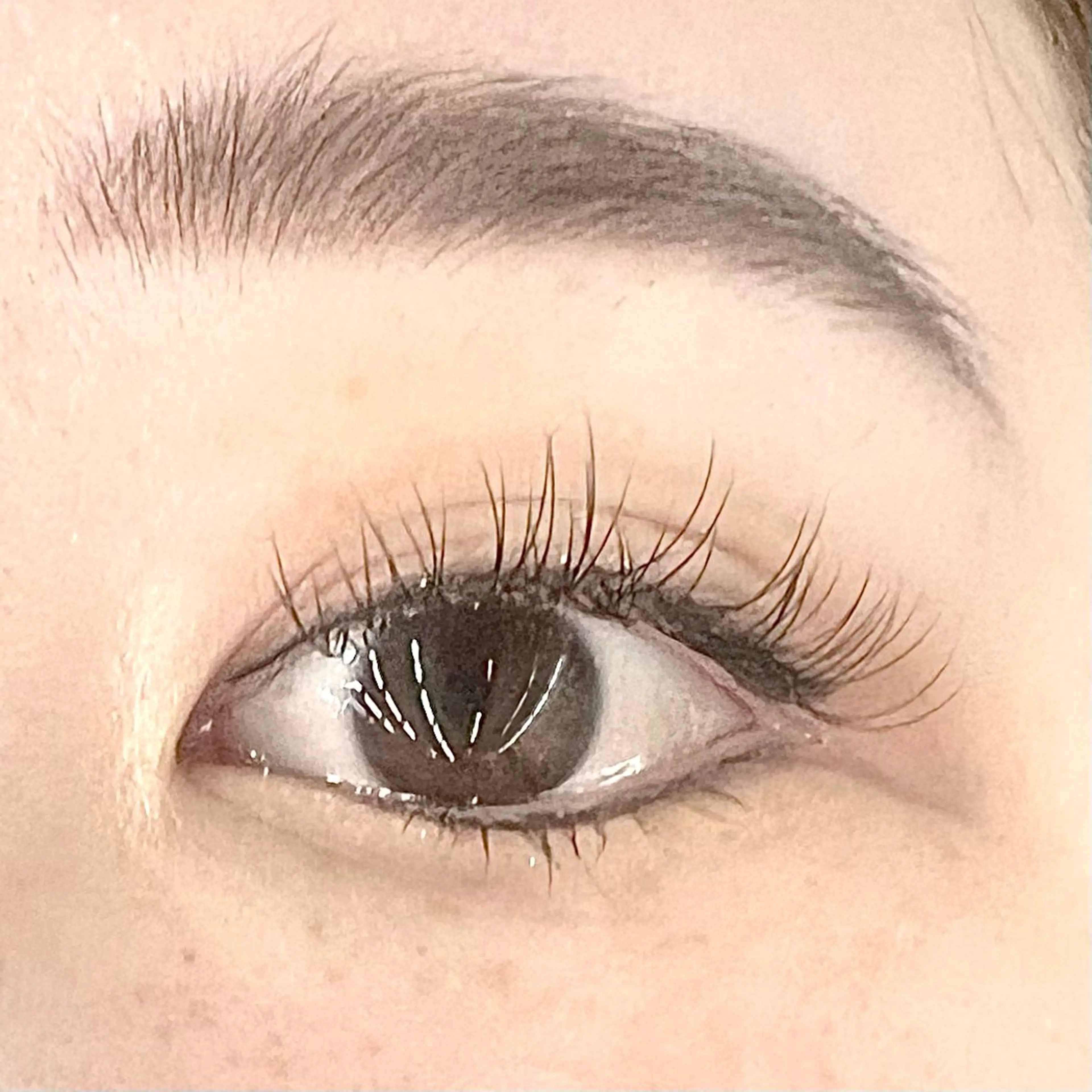 マツエク・マツパ Eyelash 大阪梅田 MAXKELLY【アイラッシュ ウメダ マックスケリー】所属・🦋maxkelly .mizuki🦋のマツエク・マツパデザイン