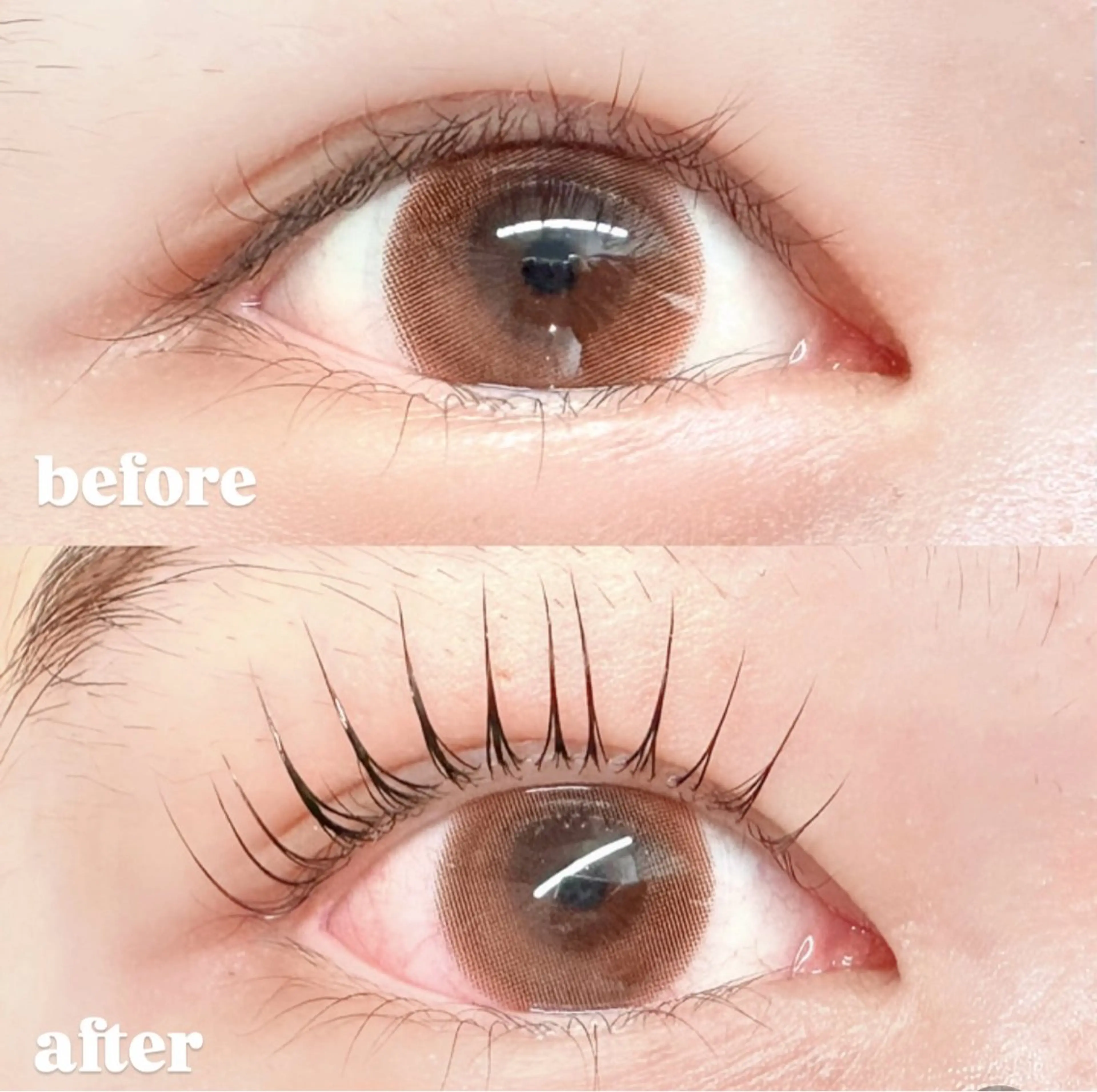 マツエク・マツパ パリジェンヌラッシュリフト 一重×まつ毛パーマ momoka 💕のマツエク・マツパデザイン