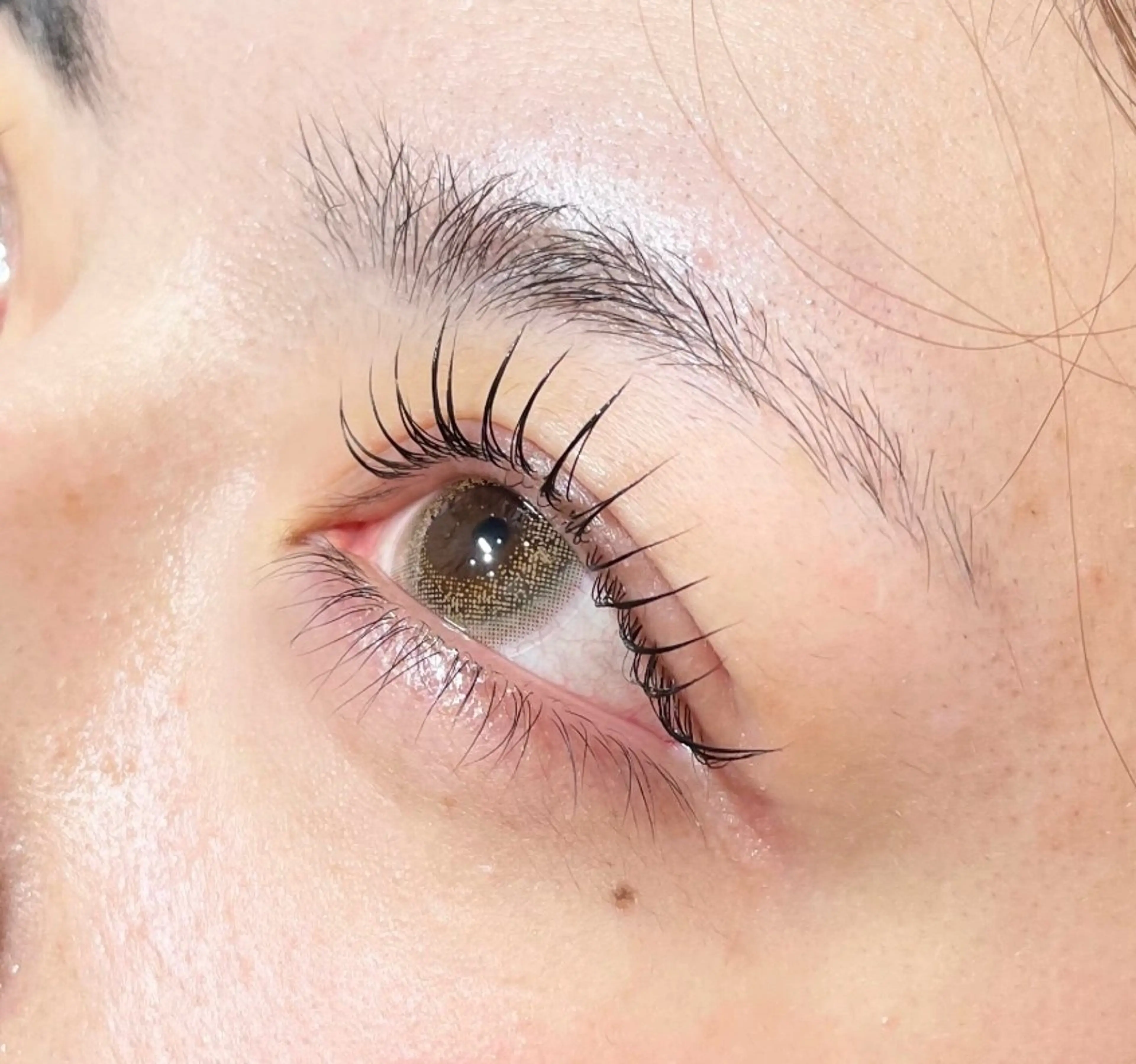 【ご新規様限定】まつ毛パーマの写真