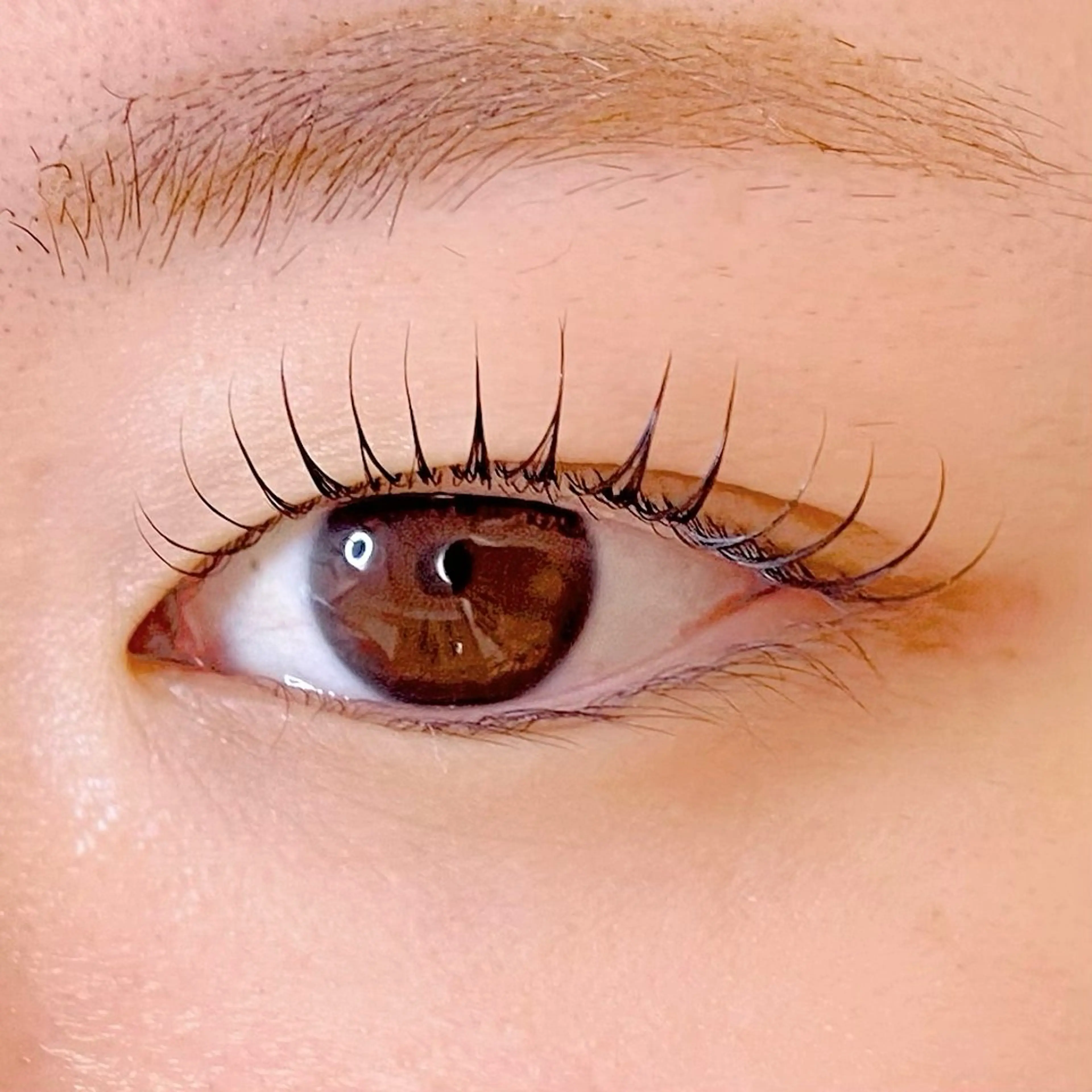 🌷12月限定🌷上まつげパーマ（ラッシュリフト）の写真