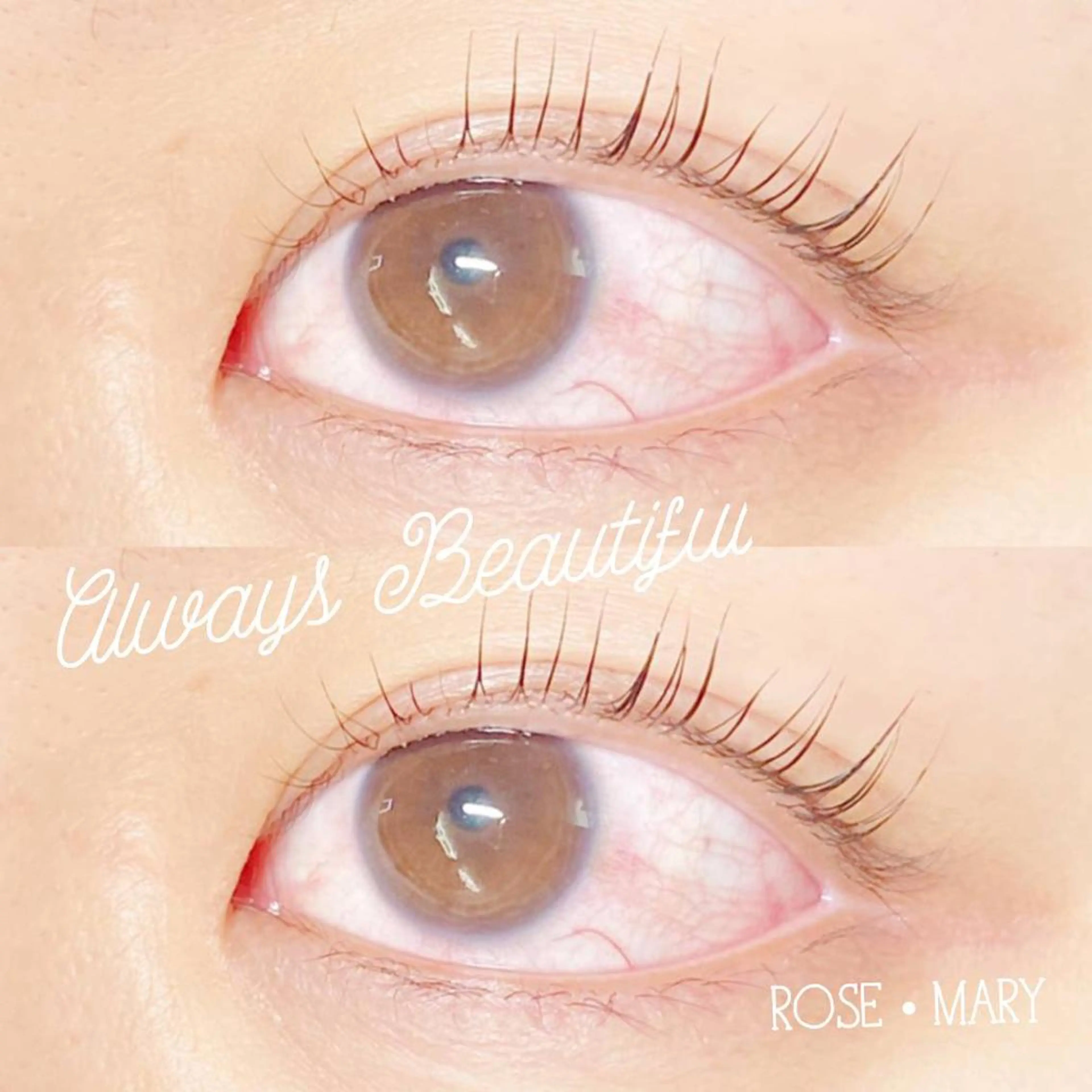 マツエク・マツパ マツパ ROSE MARY 大竹のマツエク・マツパデザイン