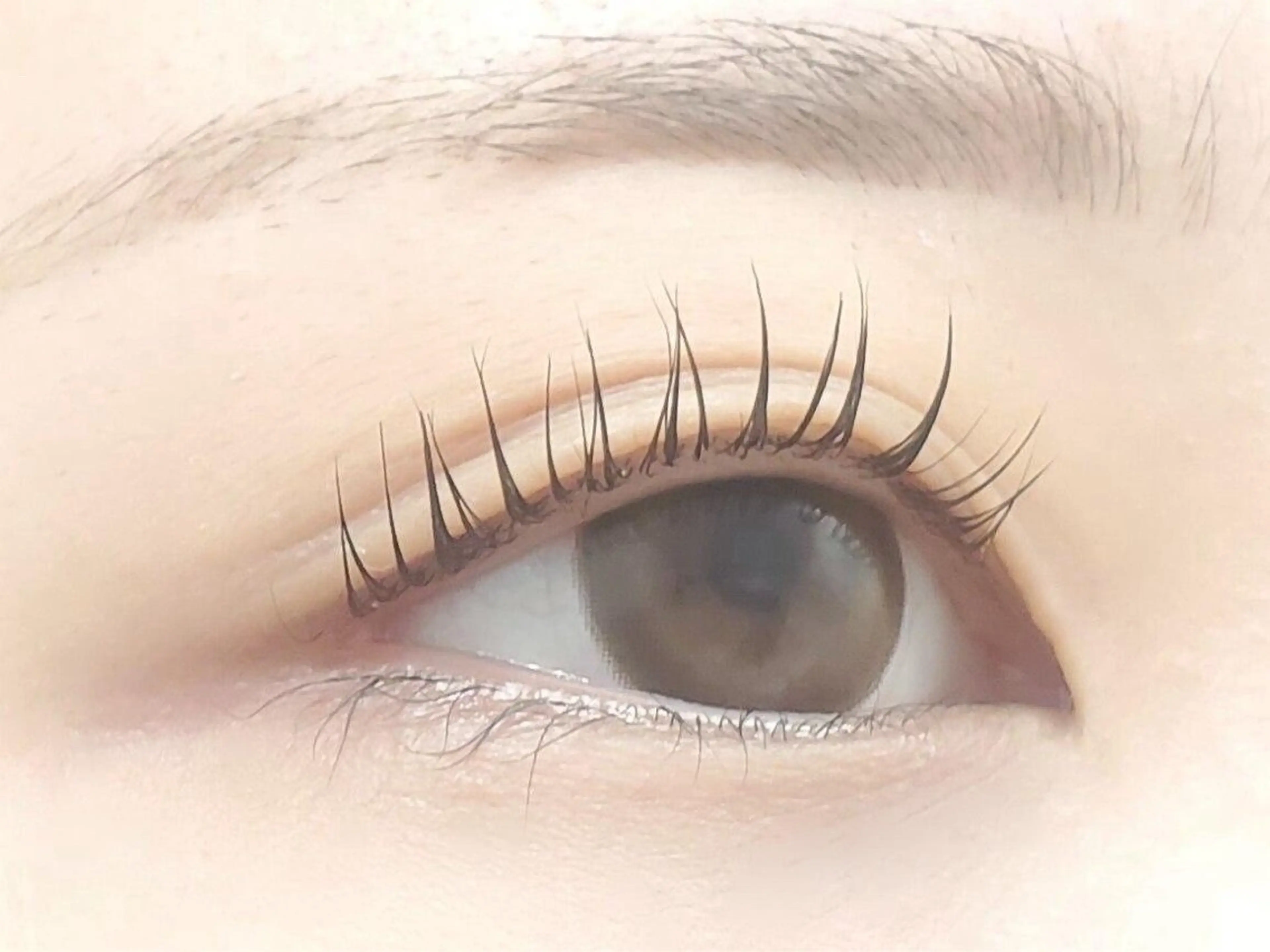 マツエク・マツパ マツパ nomoto🇰🇷 🇨🇳韓国/網紅のマツエク・マツパデザイン