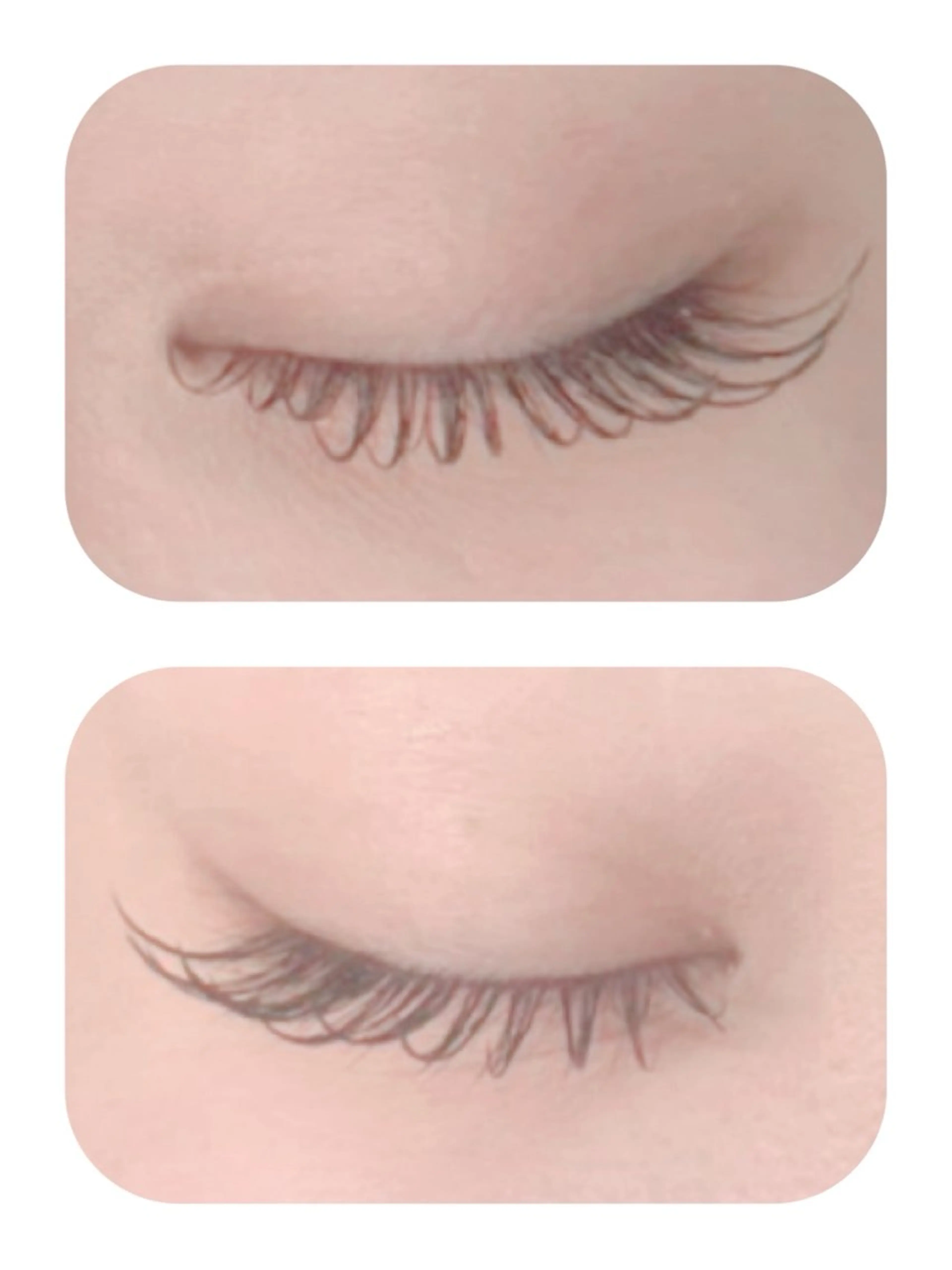 マツエク・マツパ フラットラッシュ MAQUIA 鵜飼のマツエク・マツパデザイン