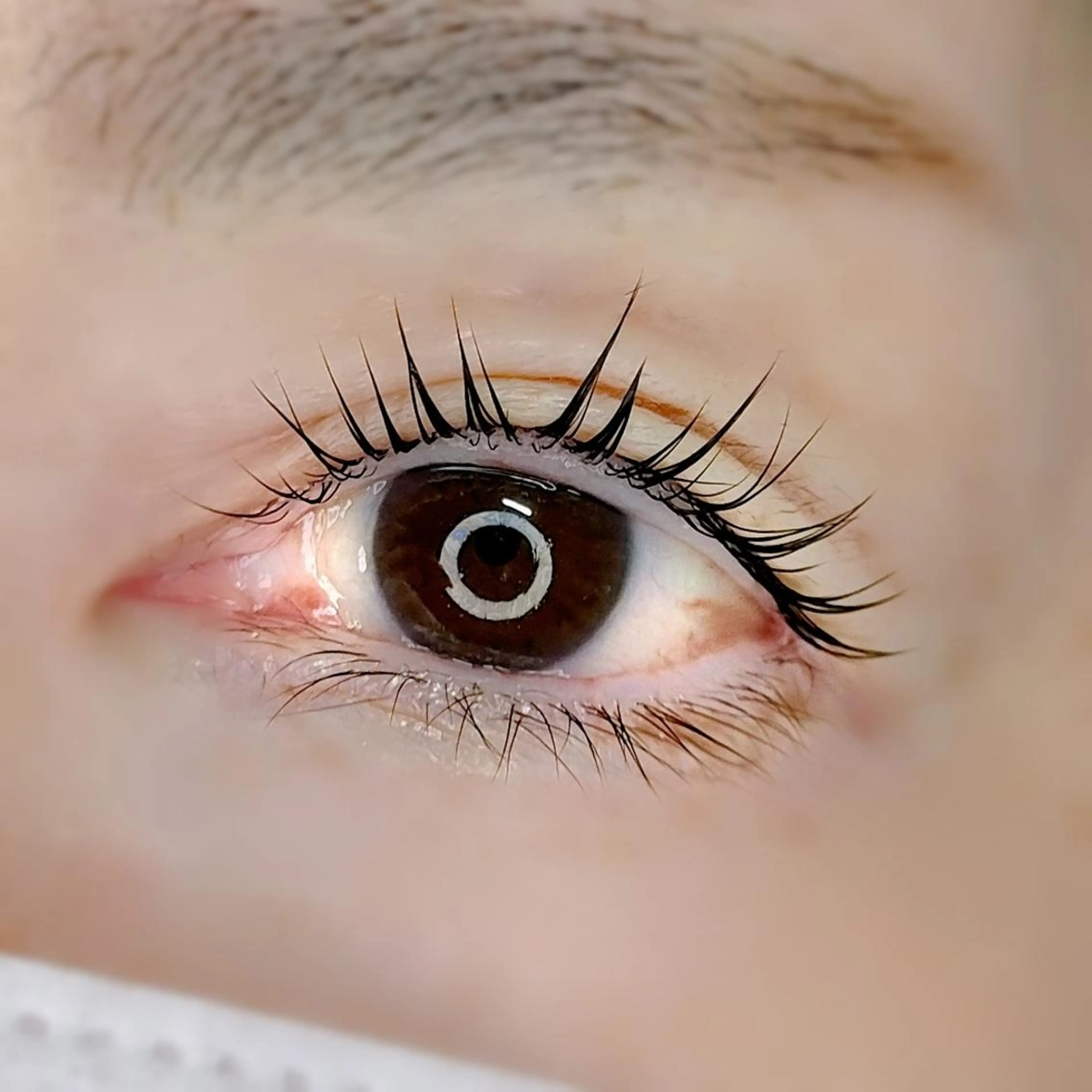 マツエク・マツパ 平山 ゆりのマツエク・マツパデザイン