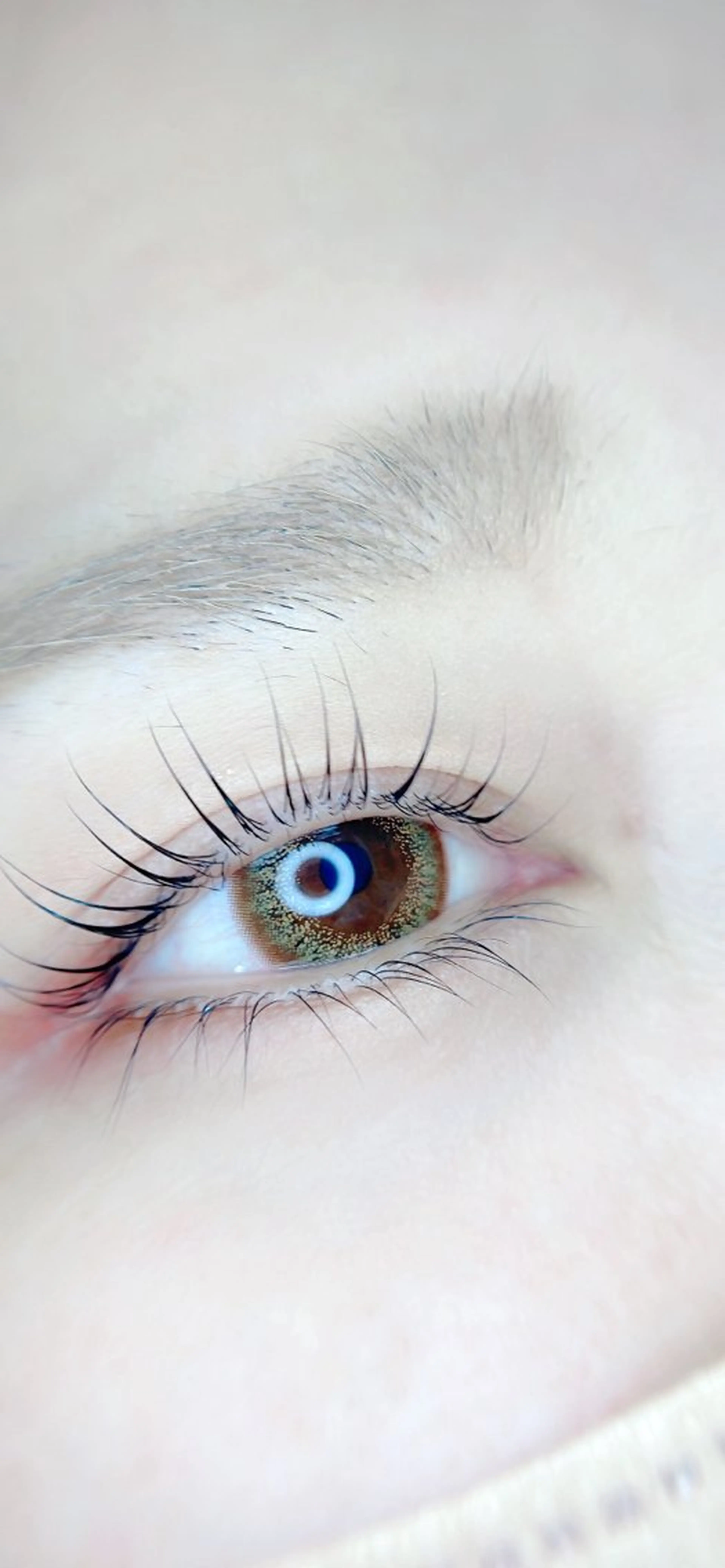 ダメージレス次世代パーマ✧アイシャンプー付き✧の写真