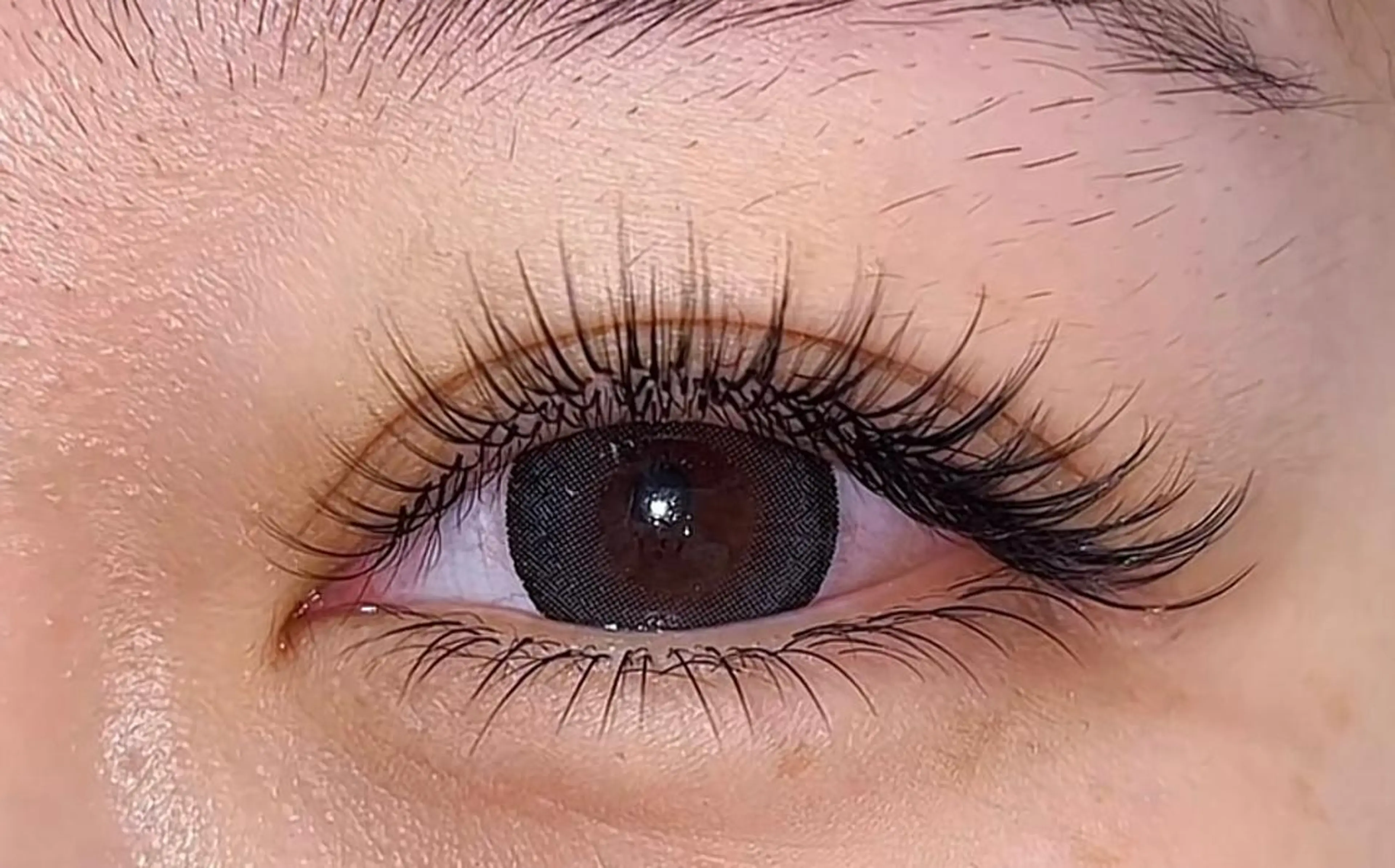 フラットラッシュ140本+ キープ美容液 🧚🏼の写真