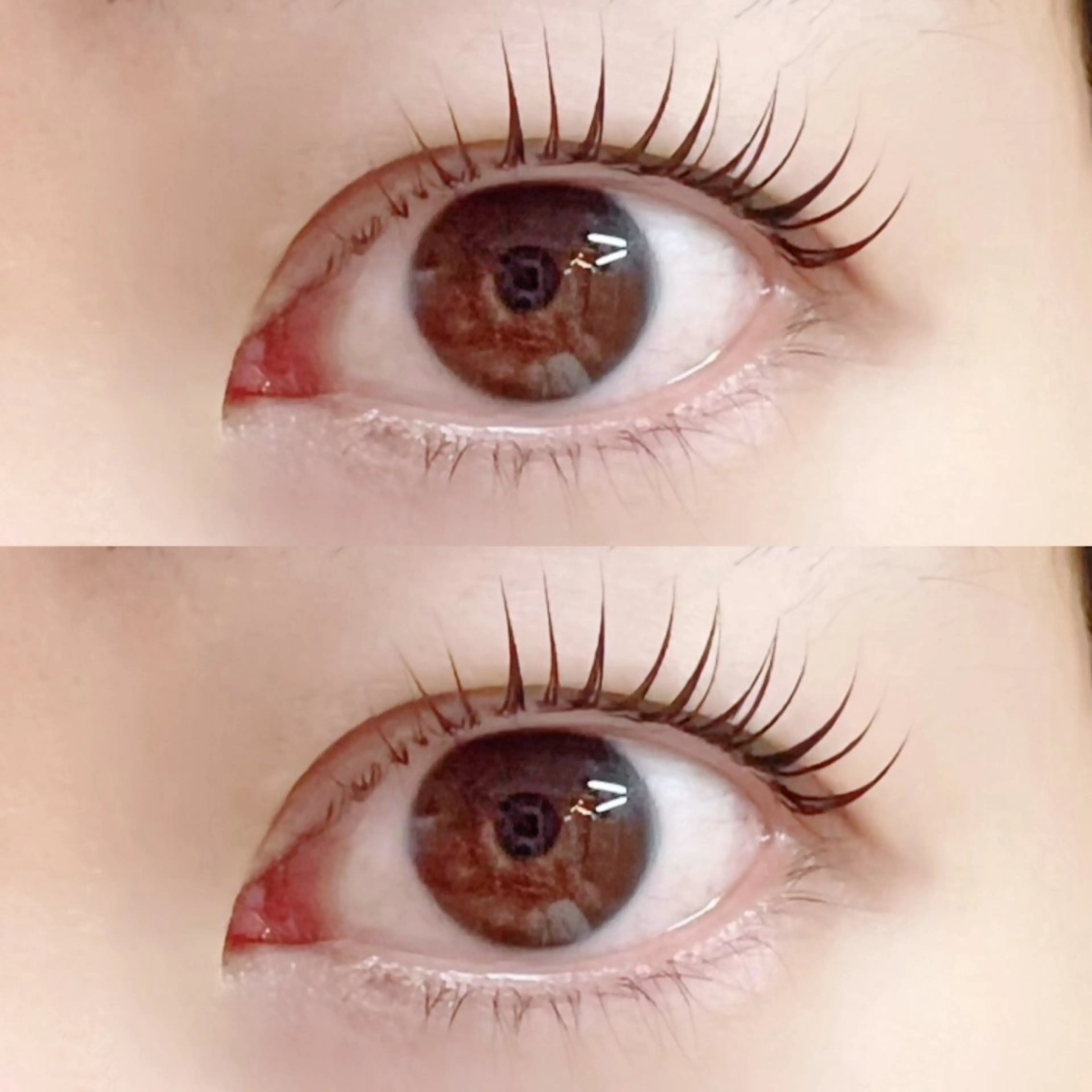 ミニモ限定　ラッシュリフトの写真