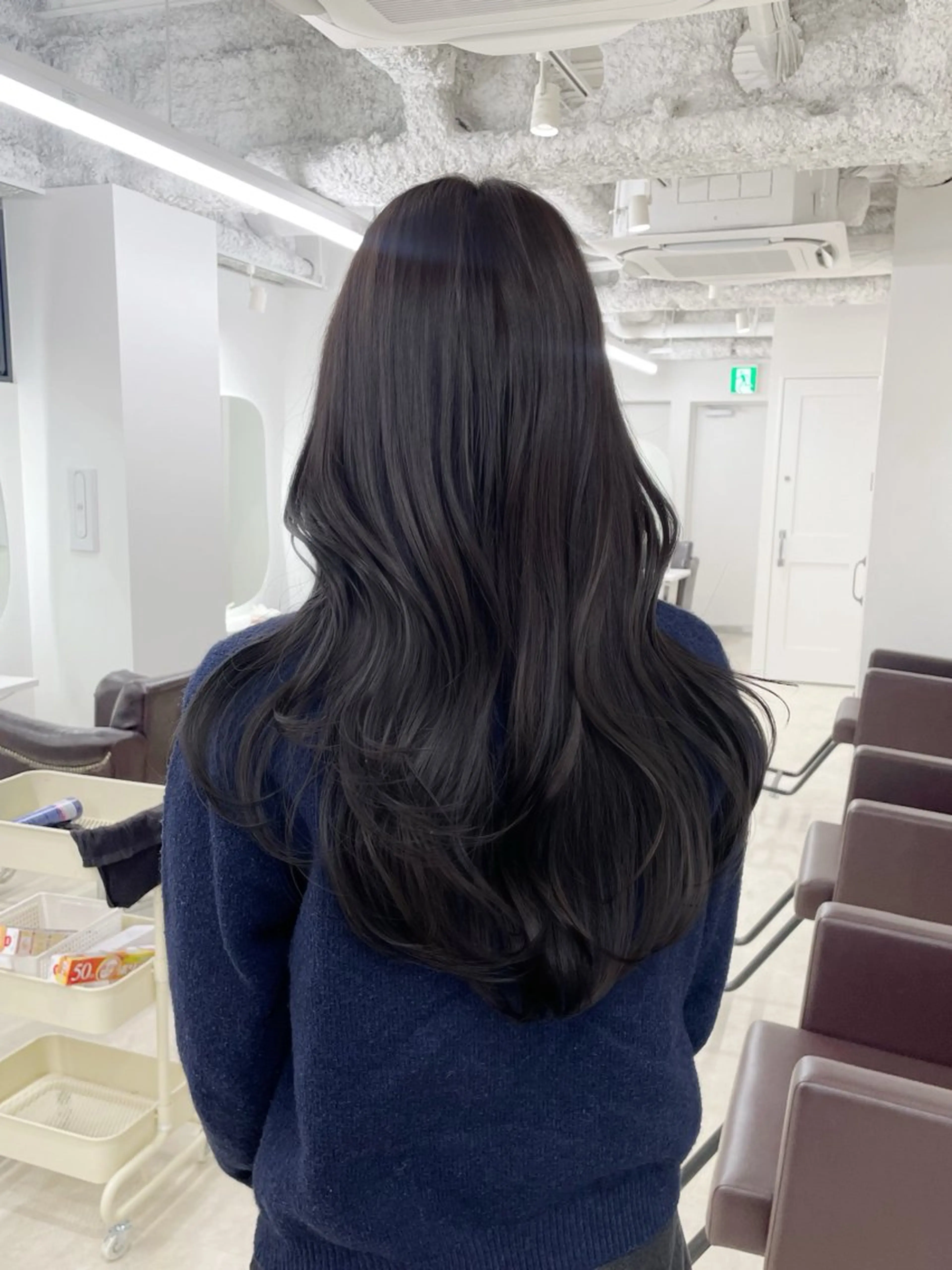 ロング カラー カット ヘアカラー トリートメント ヘアセット 新宿/韓国ヘア/ 髪質改善ストレートのヘアスタイル