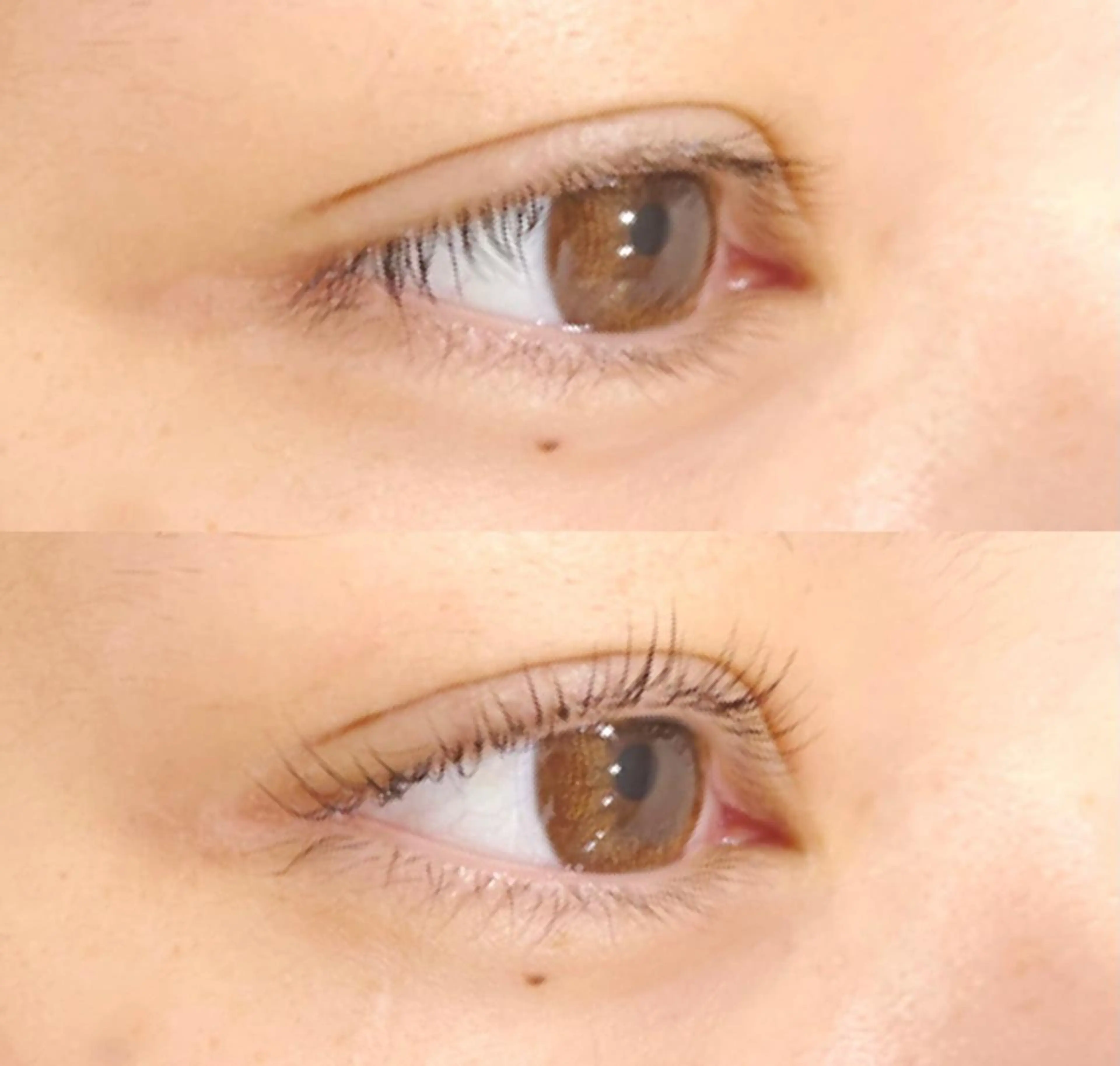 マツエク・マツパ Hera 👀アイラッシュのマツエク・マツパデザイン