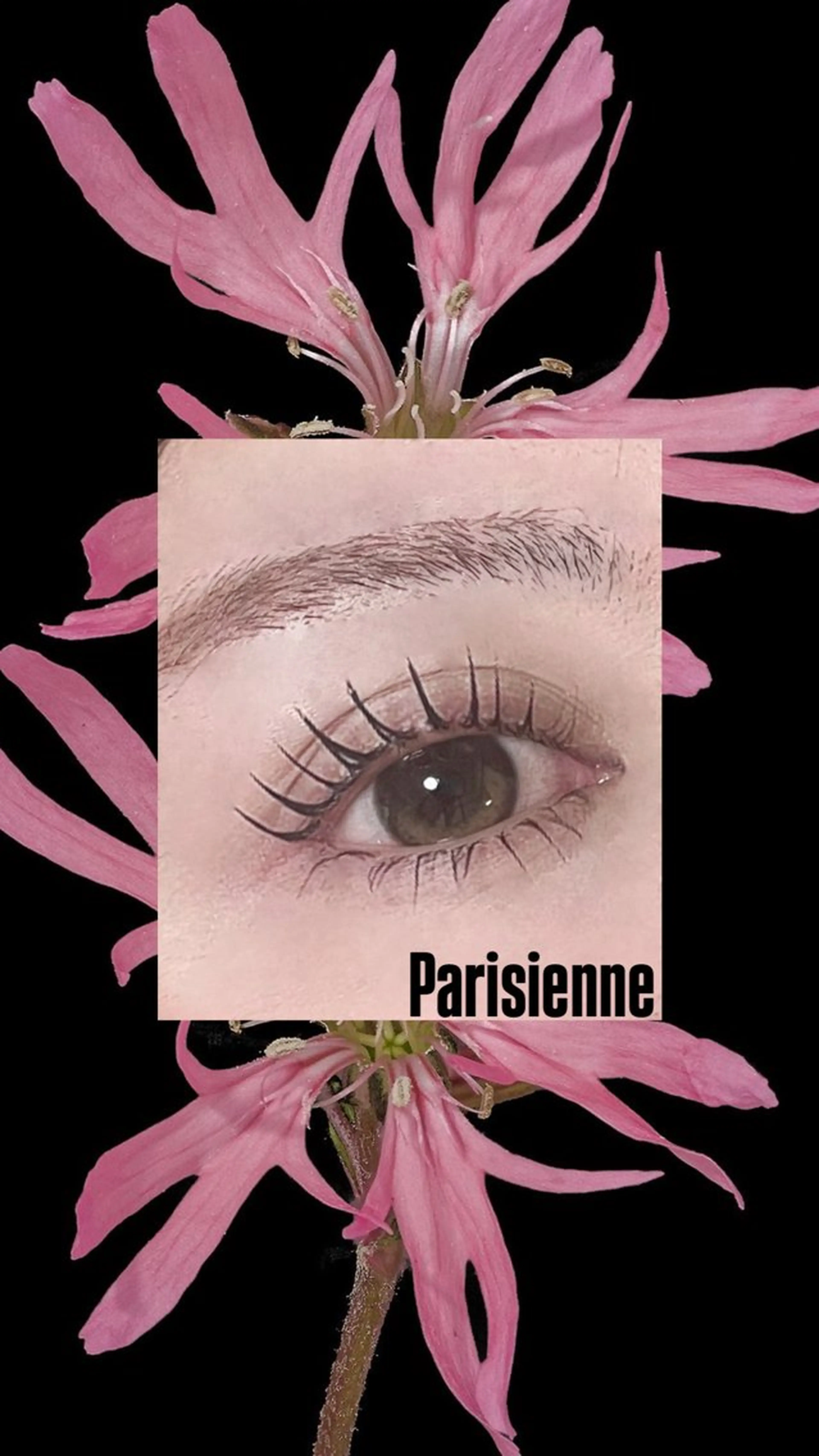 マツエク・マツパ ﾟSugawara/ ﾏﾘｰﾃﾚｼﾞｱ。ﾞのマツエク・マツパデザイン