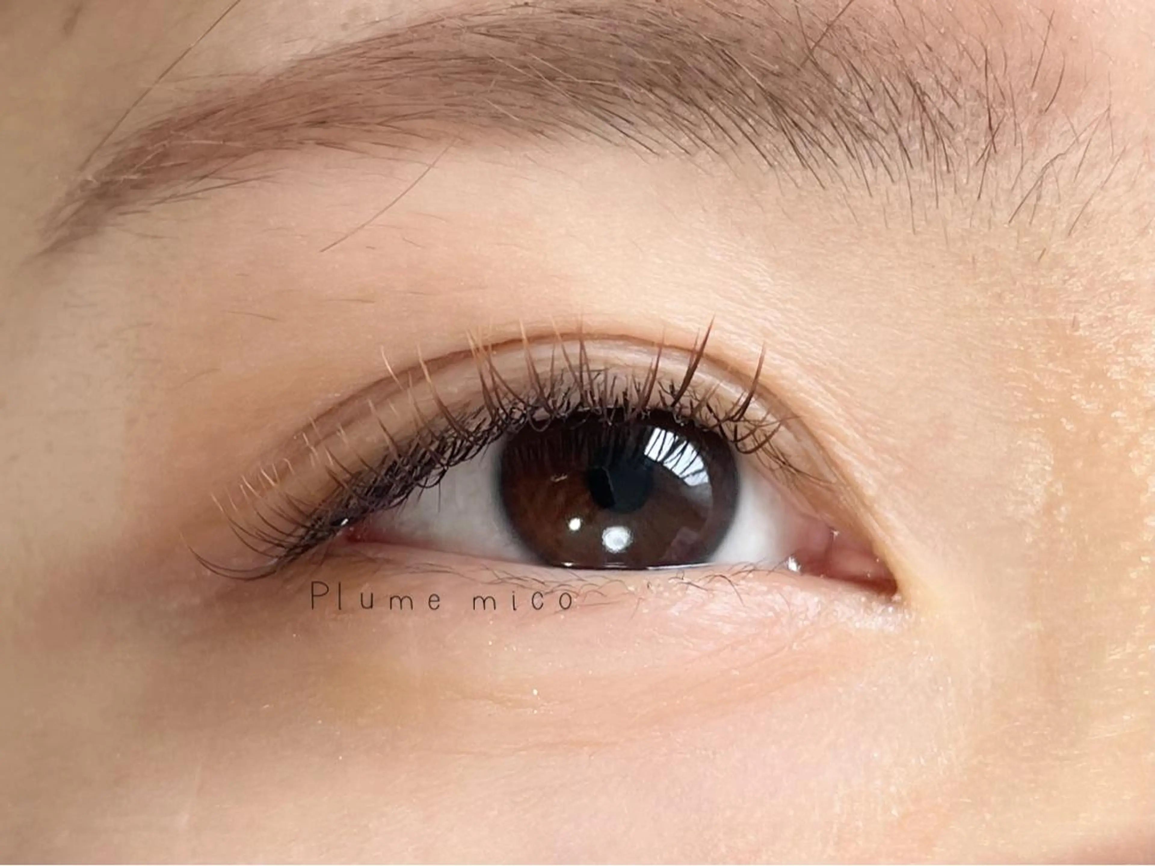 マツエク・マツパ Plume micoのマツエク・マツパデザイン