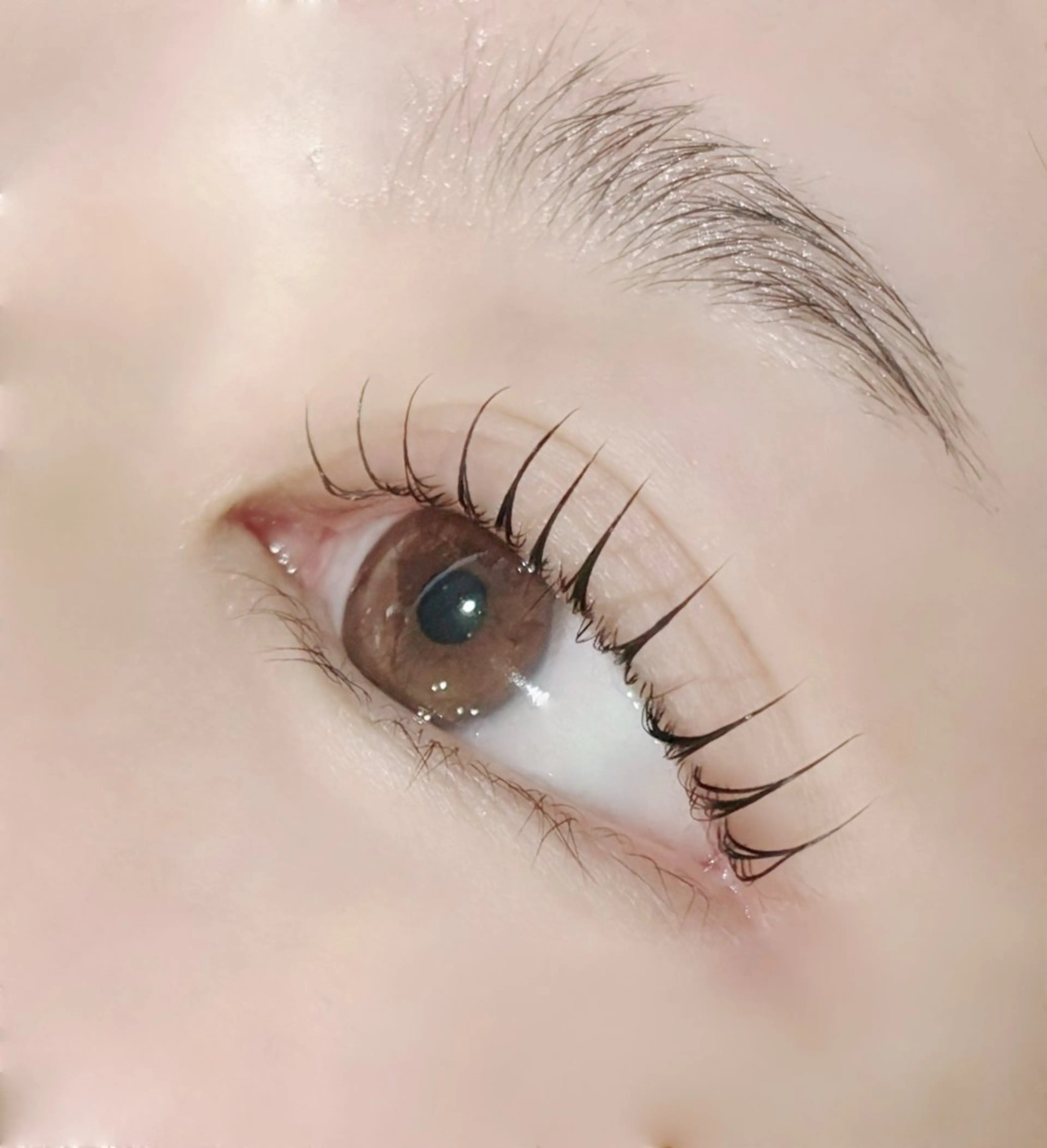 【まつげパーマ★立ち上げメストレート】ラシュリーの写真