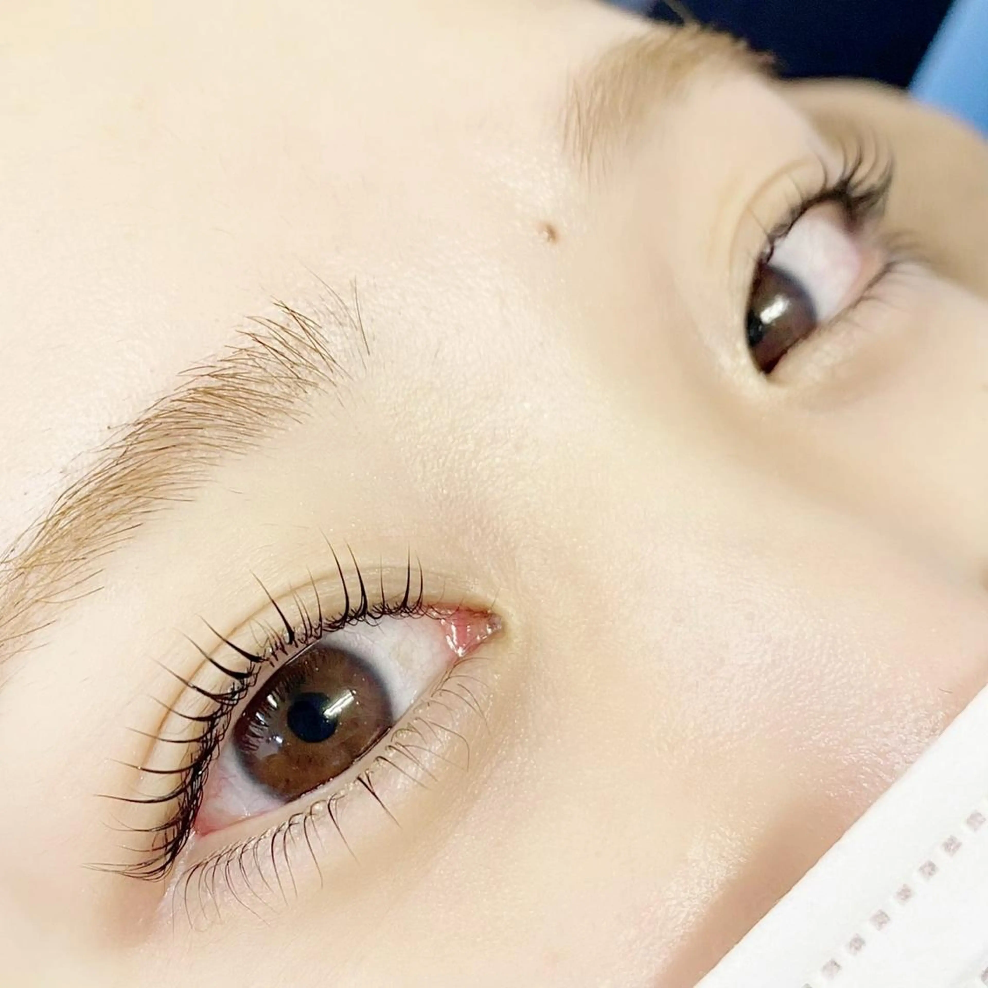 マツエク・マツパ Lily所属・横浜/鶴屋町/美容室 LilyHitomiの眉毛・アイブロウイメージ