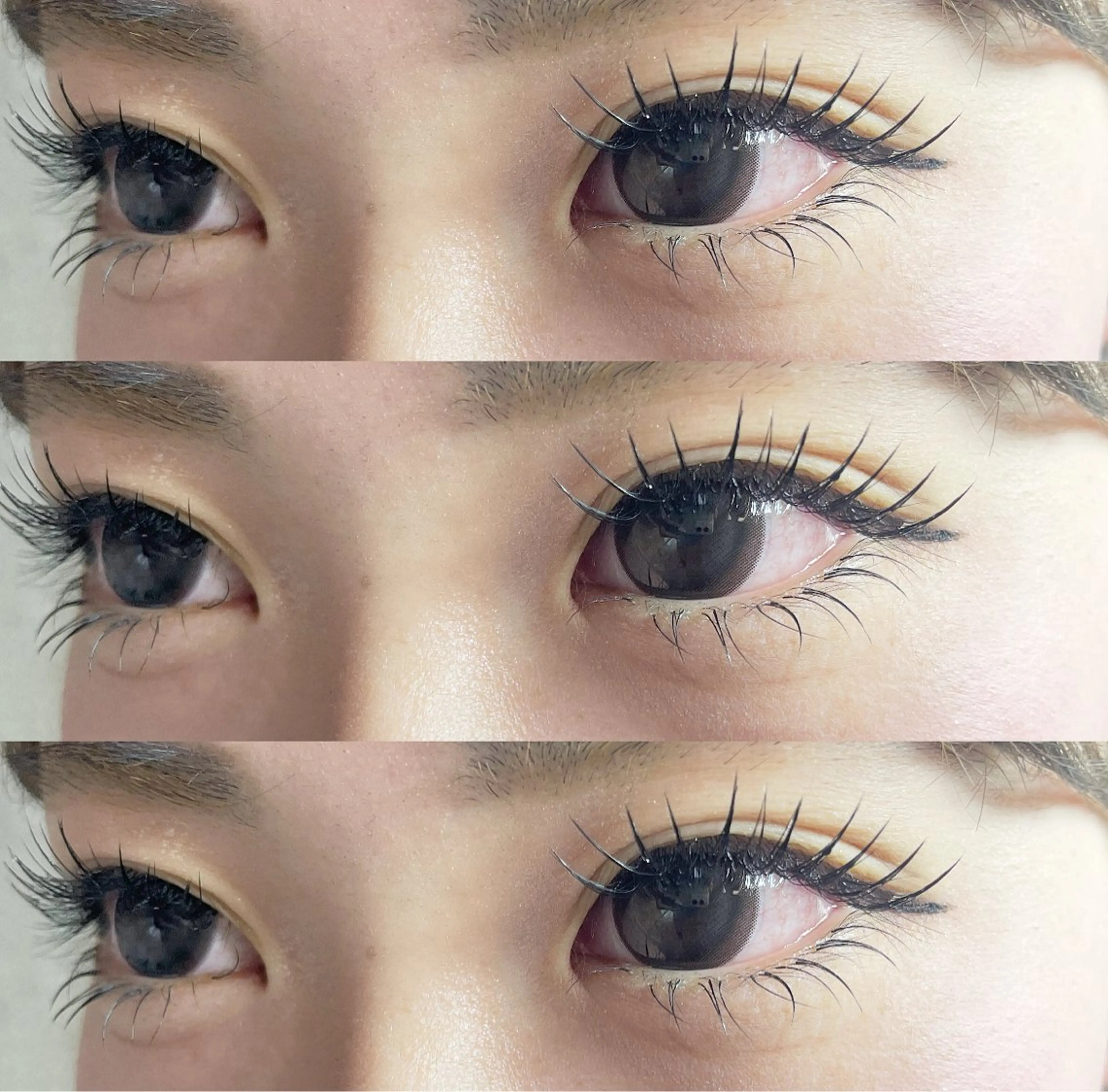 L.LC.LDカールフラットラッシュ120本🫧の写真