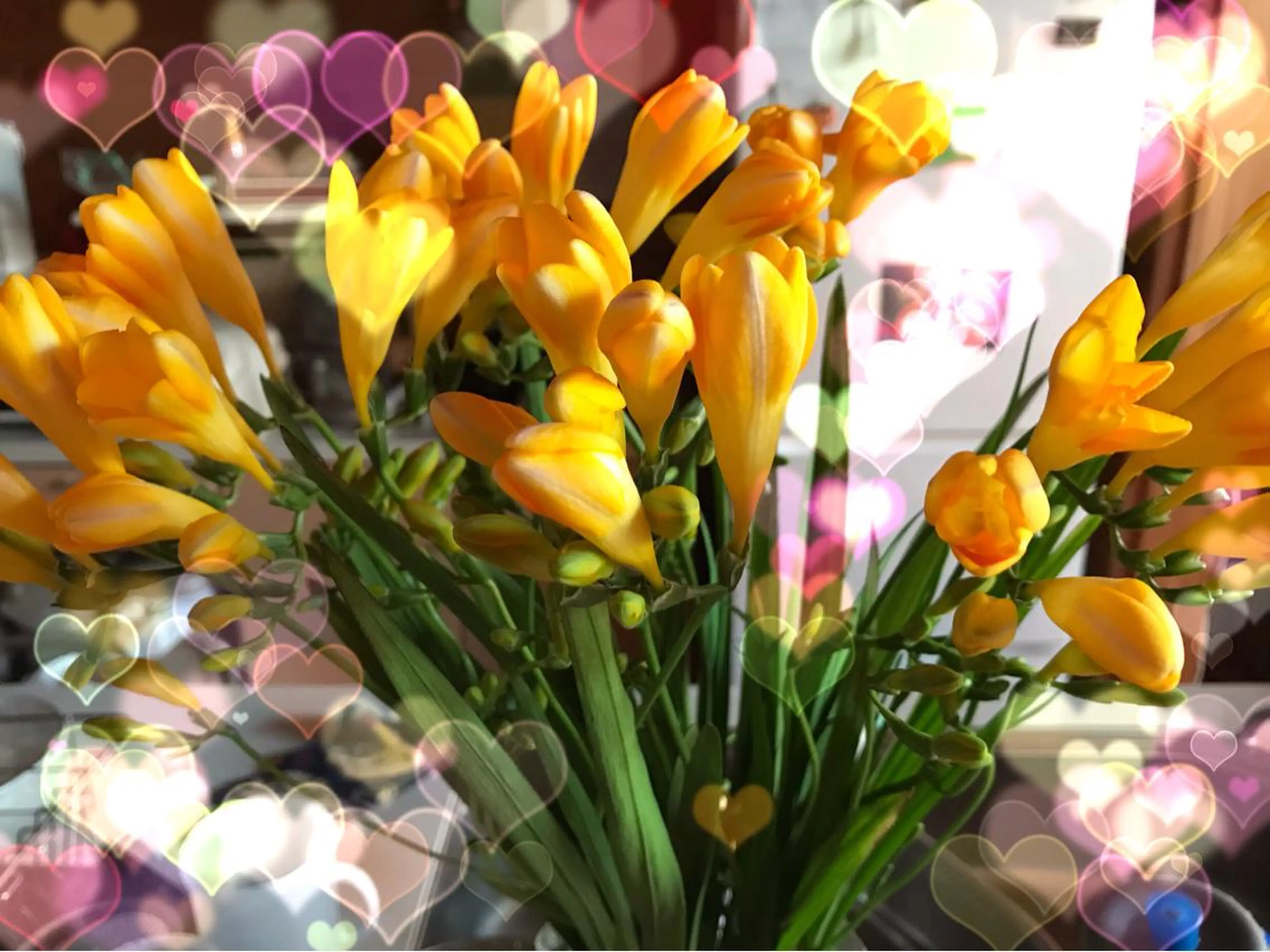 岩井 秋子のエステ・リラクイメージ