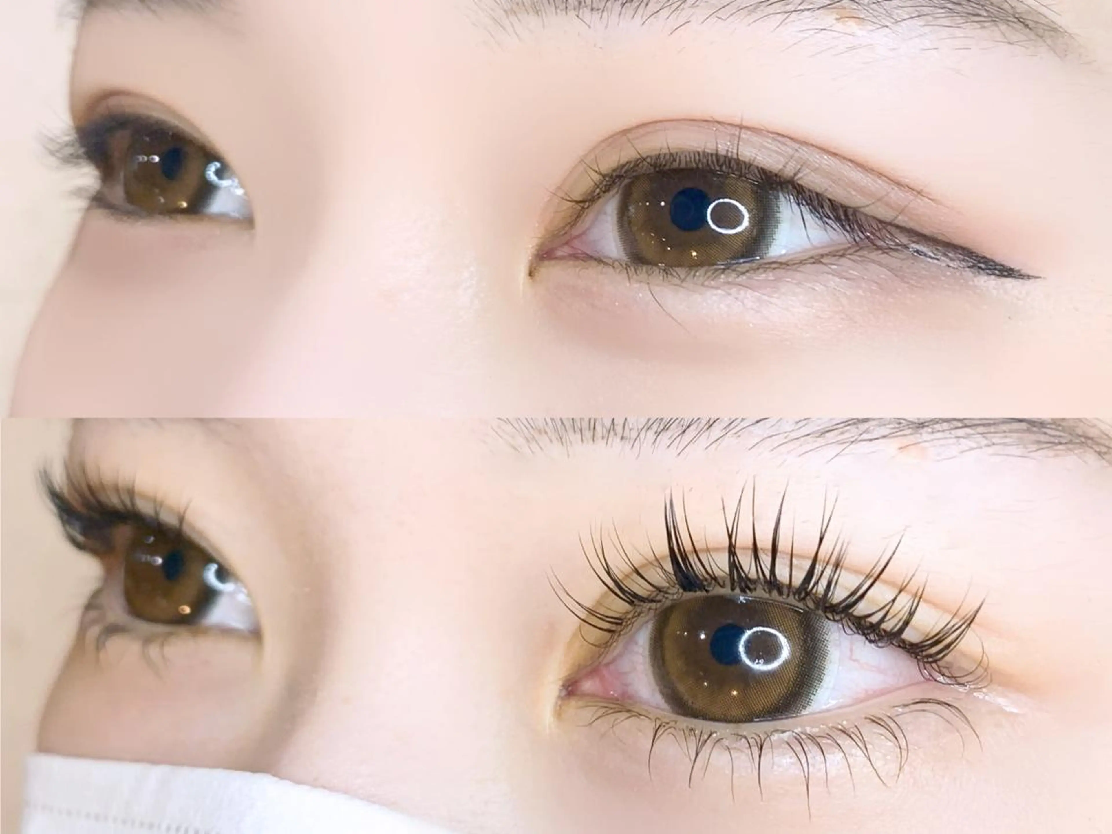 LEDパリエク100本➕アイシャンプー➕コーティング¥10,000☁️の写真