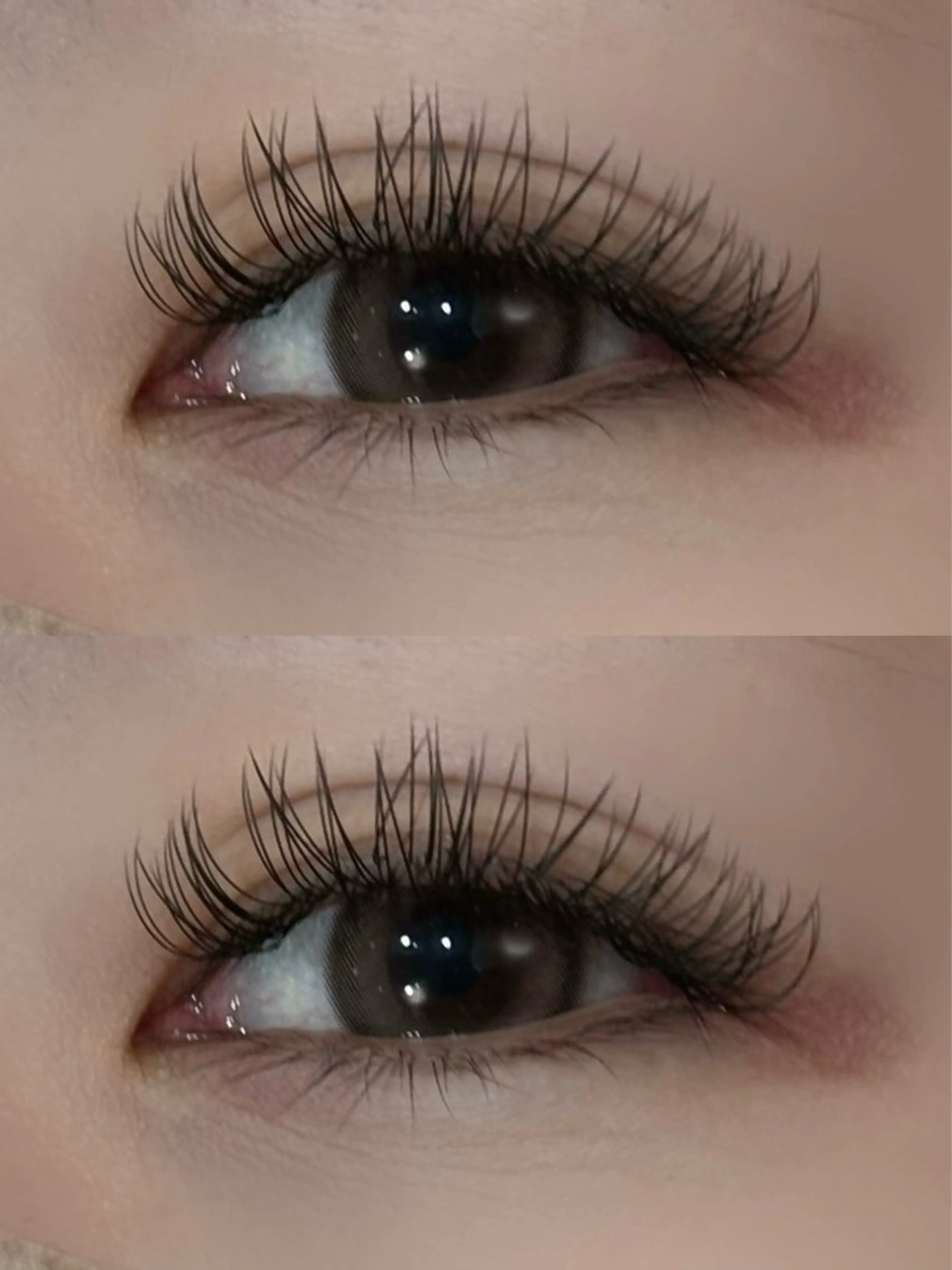 マツエク・マツパ 🐈EYELA Saiki🐱の眉毛・アイブロウイメージ