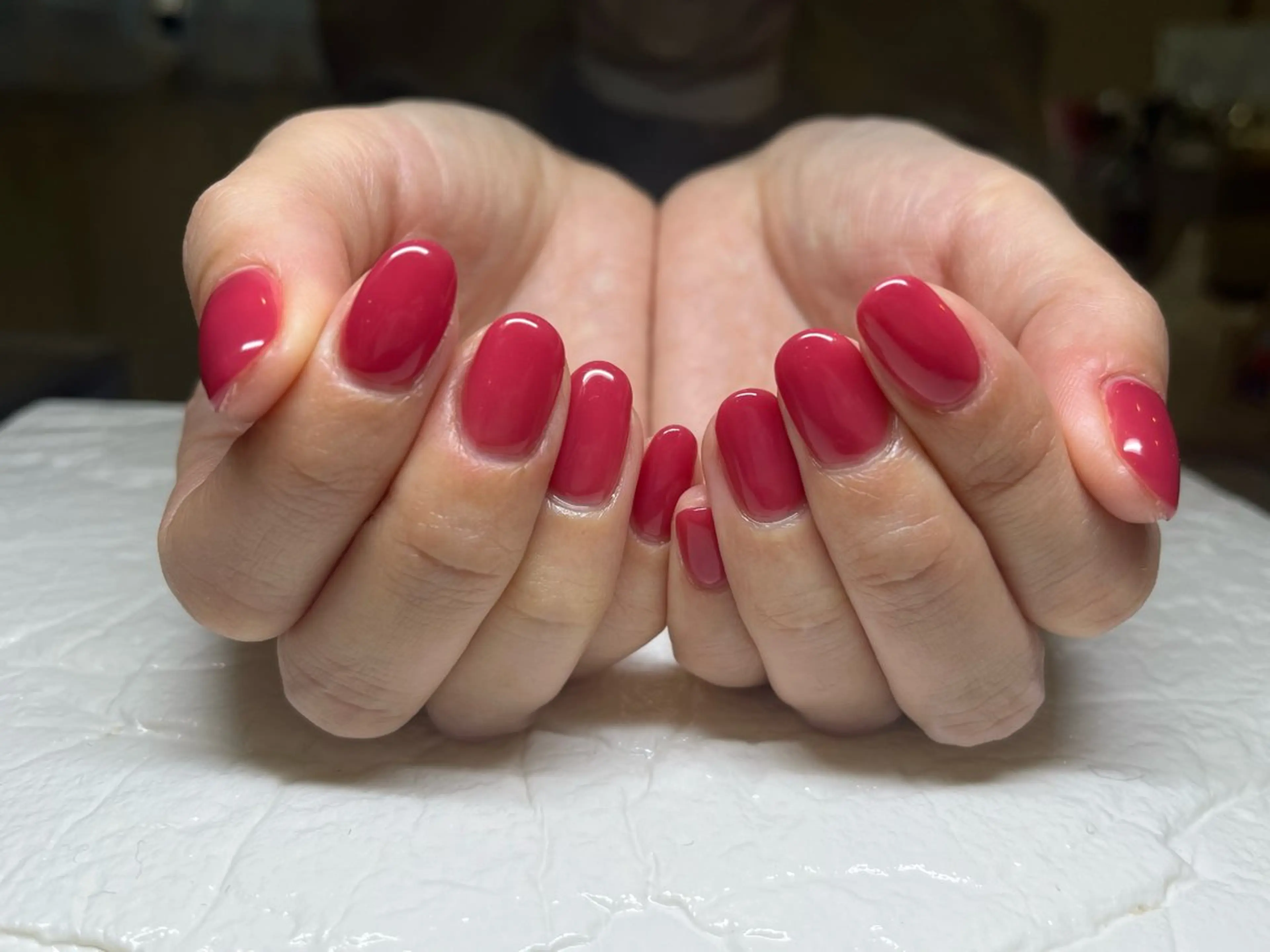 ワンカラーの写真