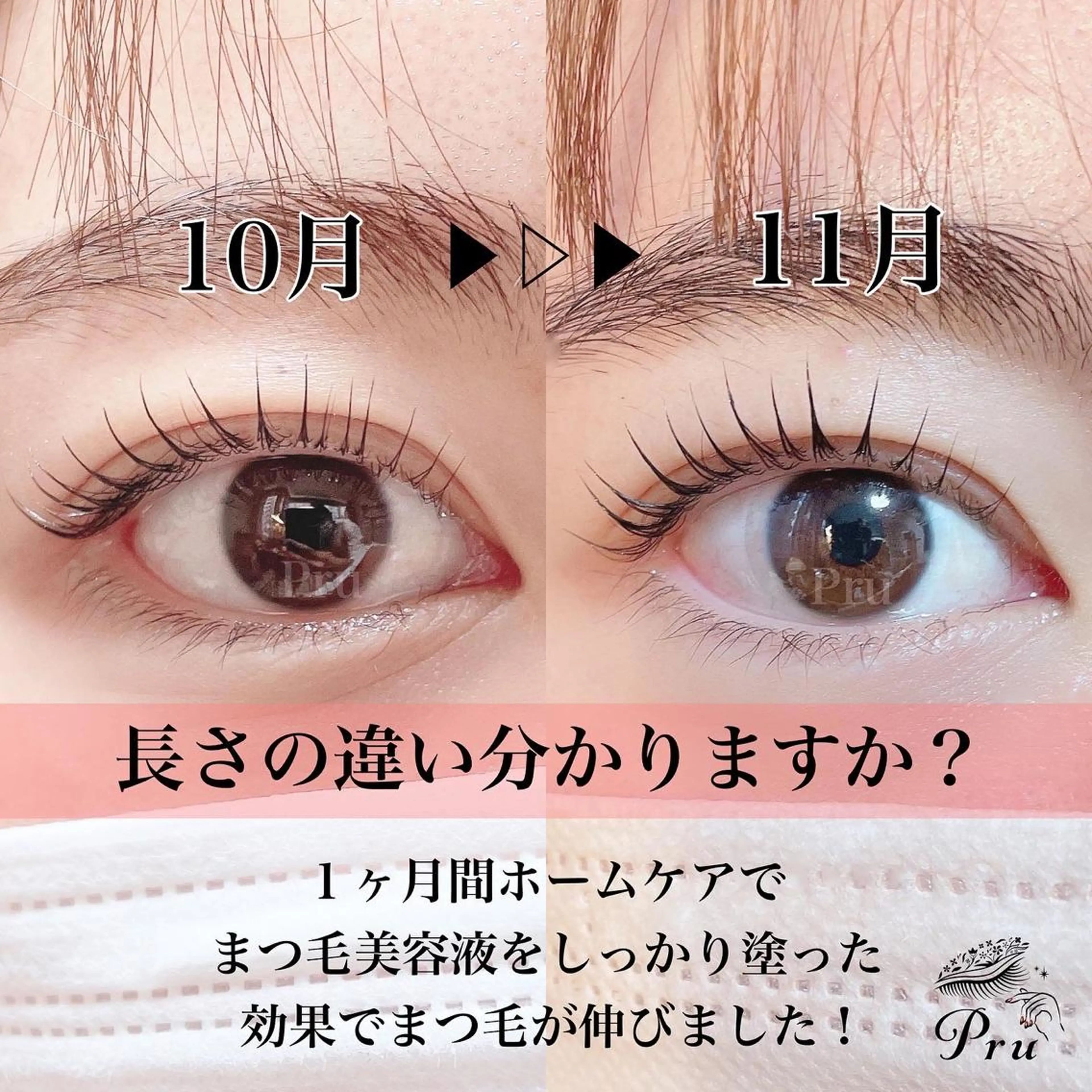 マツエク・マツパ マツパ プル eyelashのマツエク・マツパデザイン