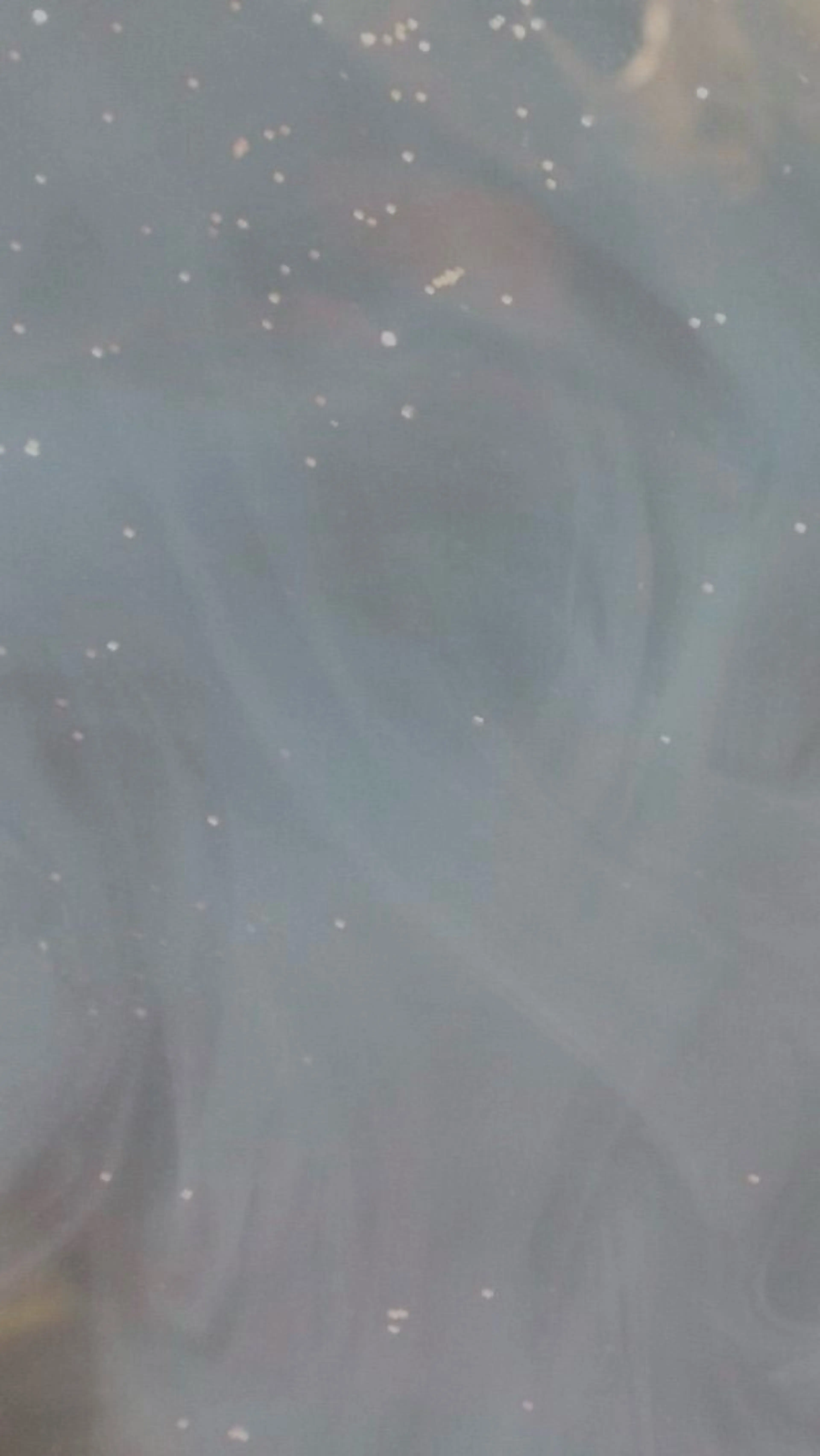 マツエク・マツパ OLIVIA 郷家 ♡のマツエク・マツパデザイン